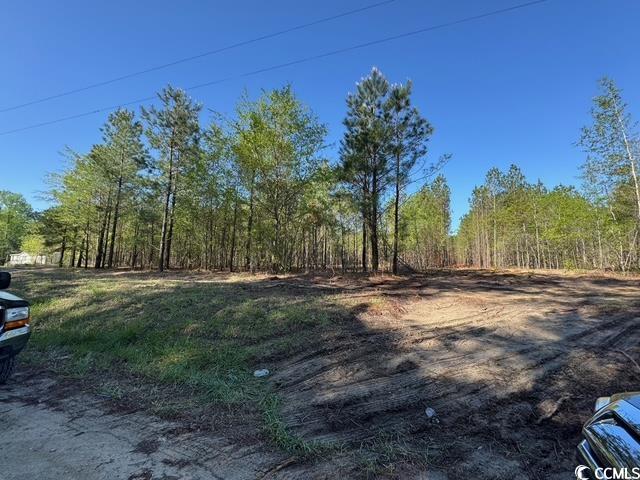 Barts Rd. Loris, SC 29569