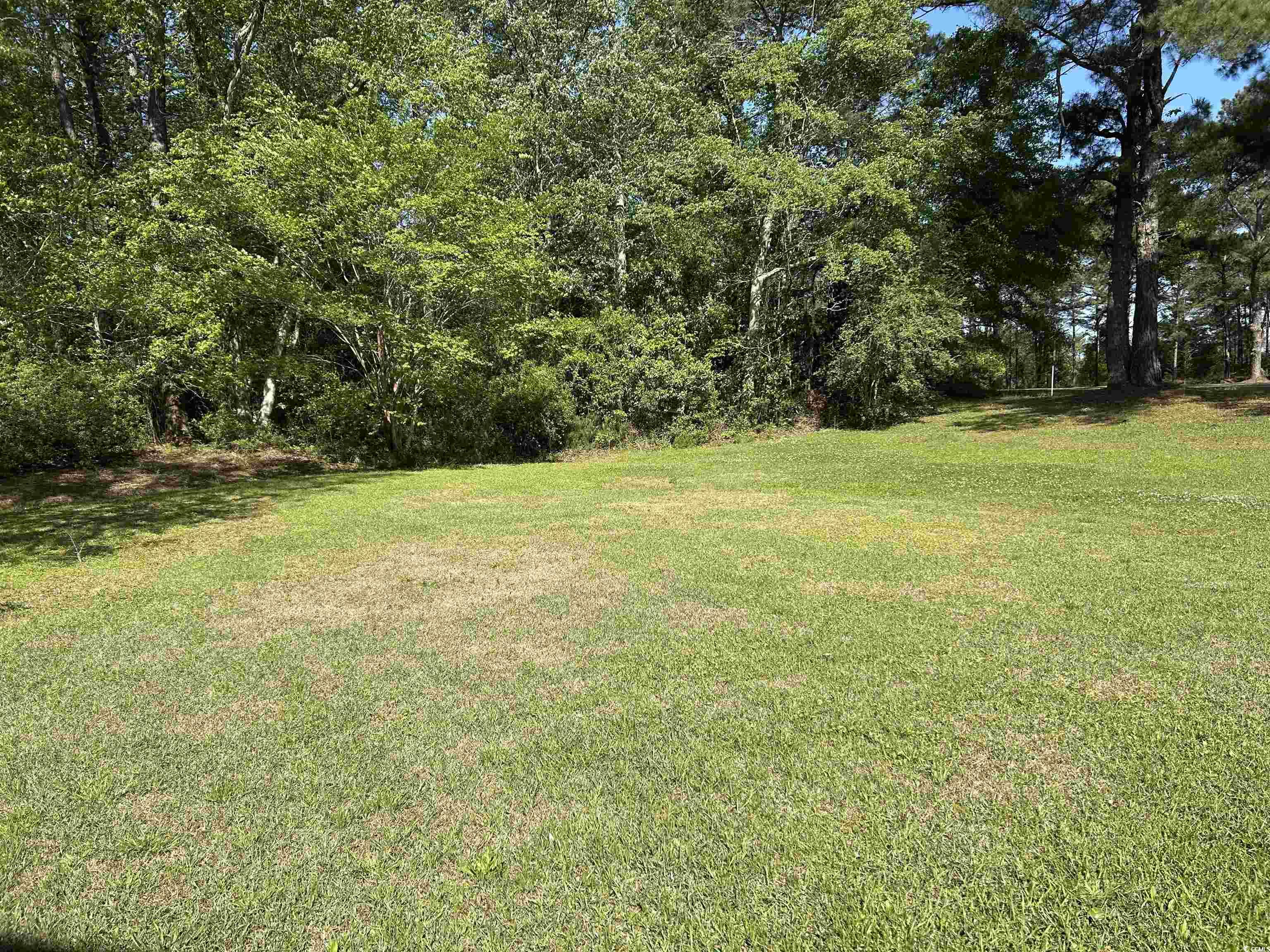 361 Dwellings Dr., Johnsonville, South Carolina image 28