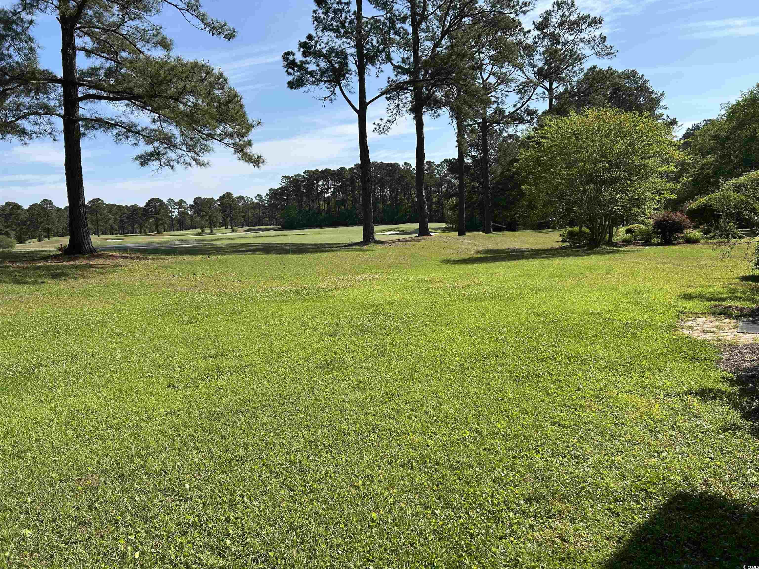 361 Dwellings Dr., Johnsonville, South Carolina image 29