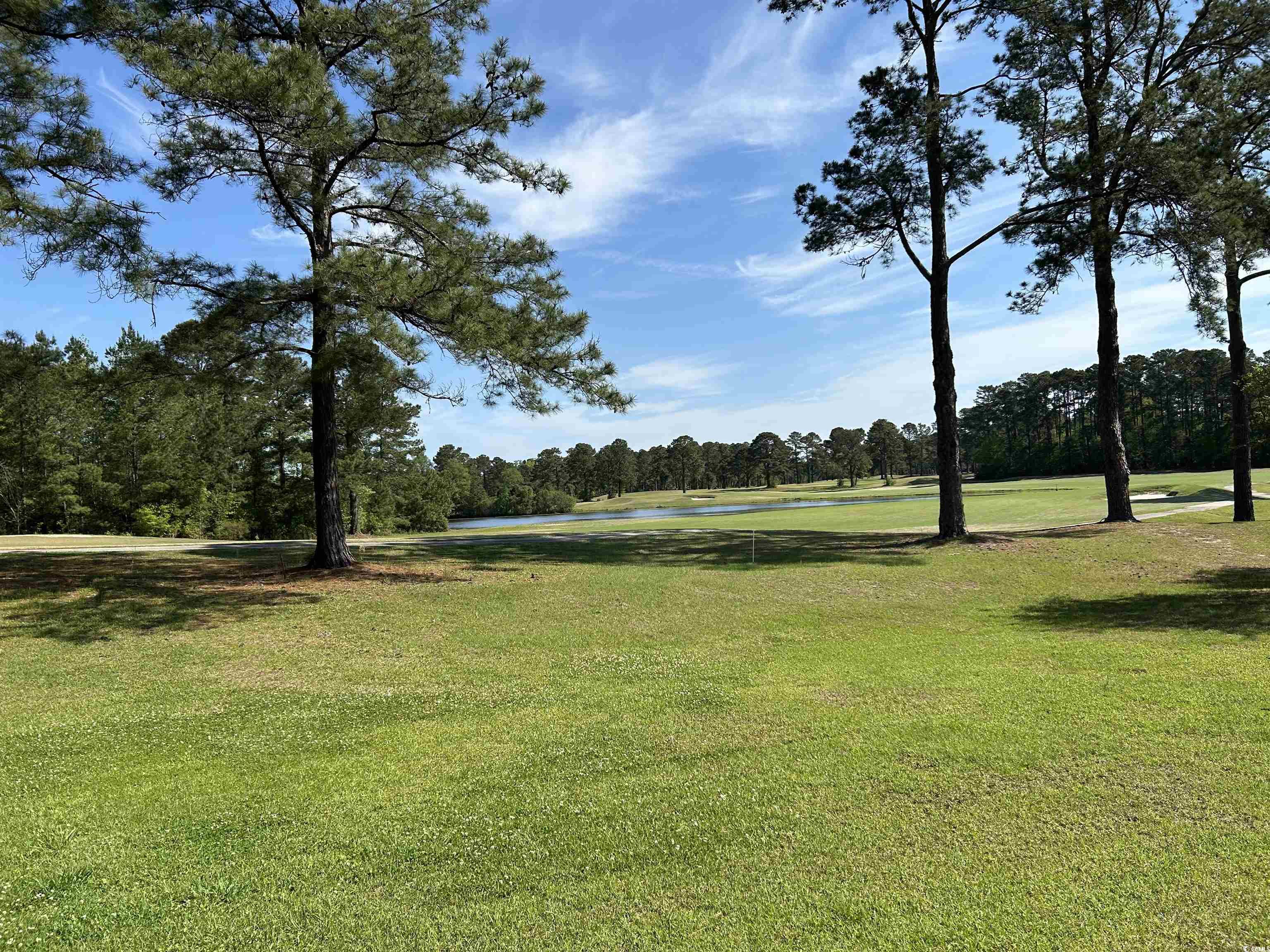 361 Dwellings Dr., Johnsonville, South Carolina image 30