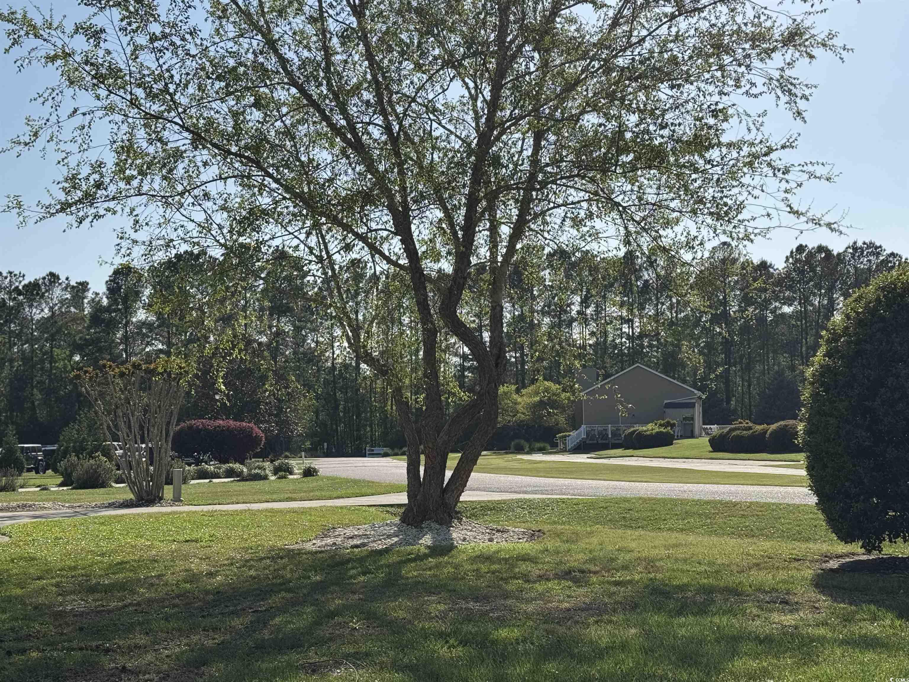 911 Shaftesbury Ln., Conway, South Carolina image 3