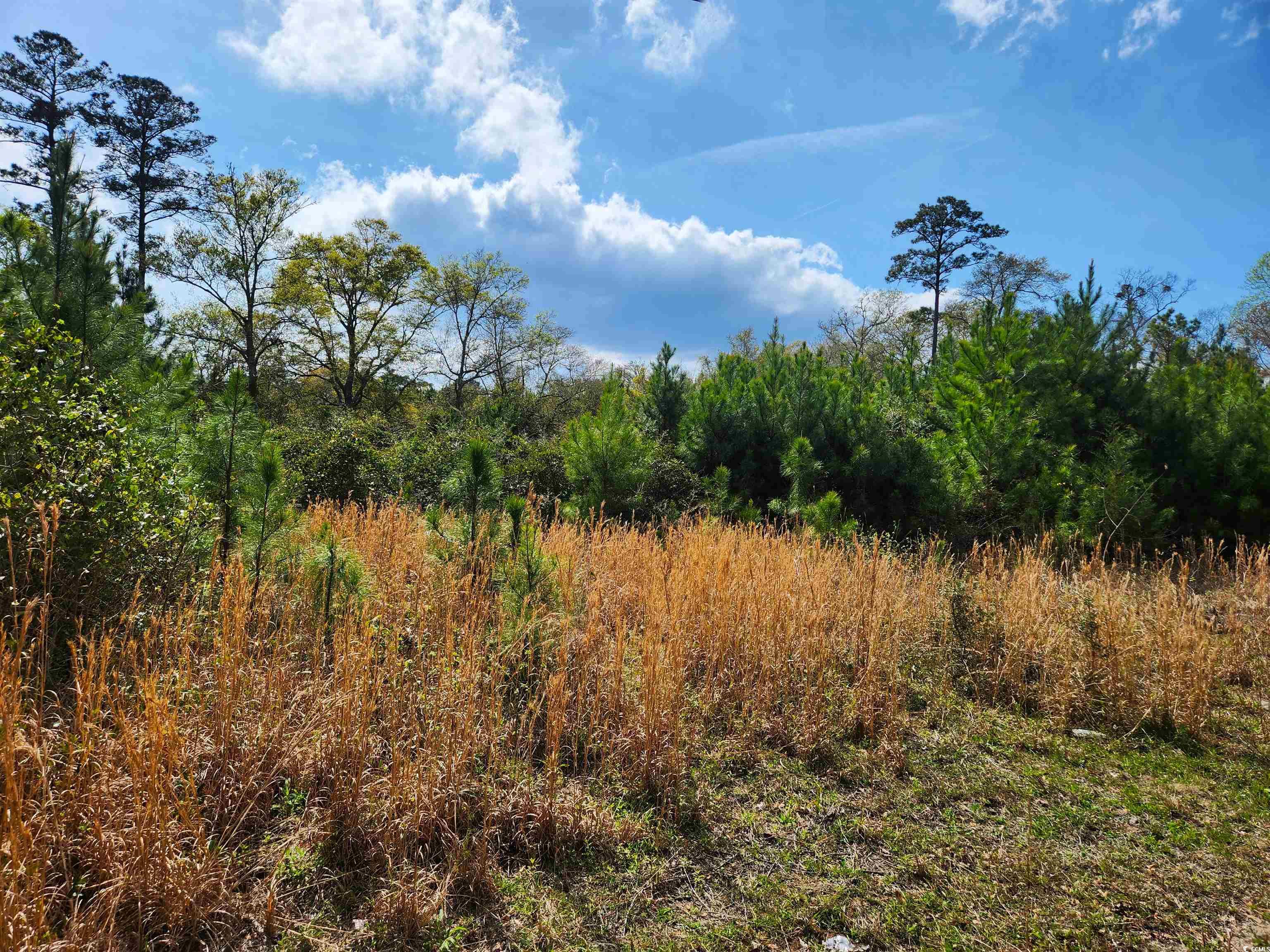 4675 Little River Neck Rd. North Myrtle Beach, SC 29582