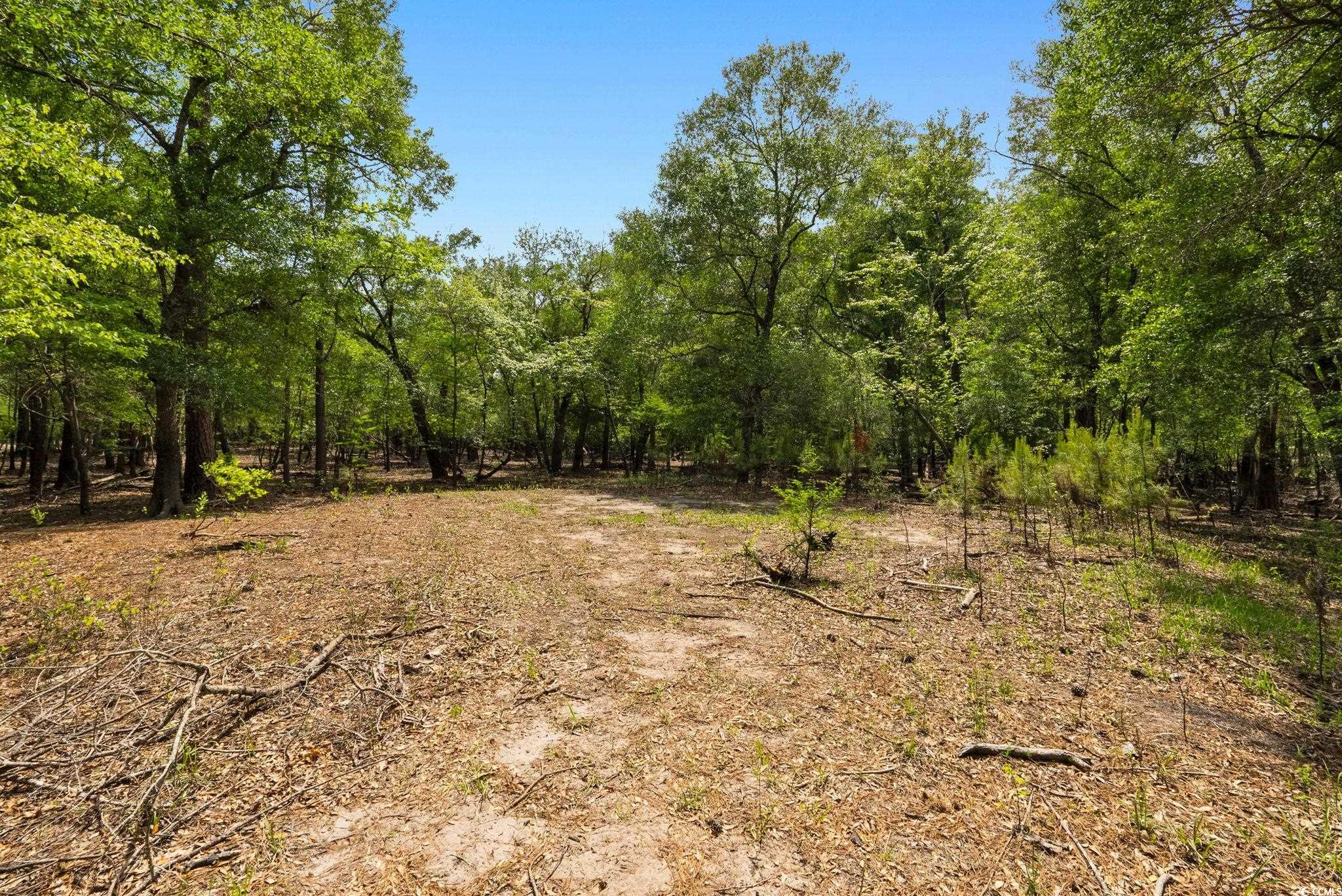 360 Cypress Flat Ct., Conway, South Carolina image 15