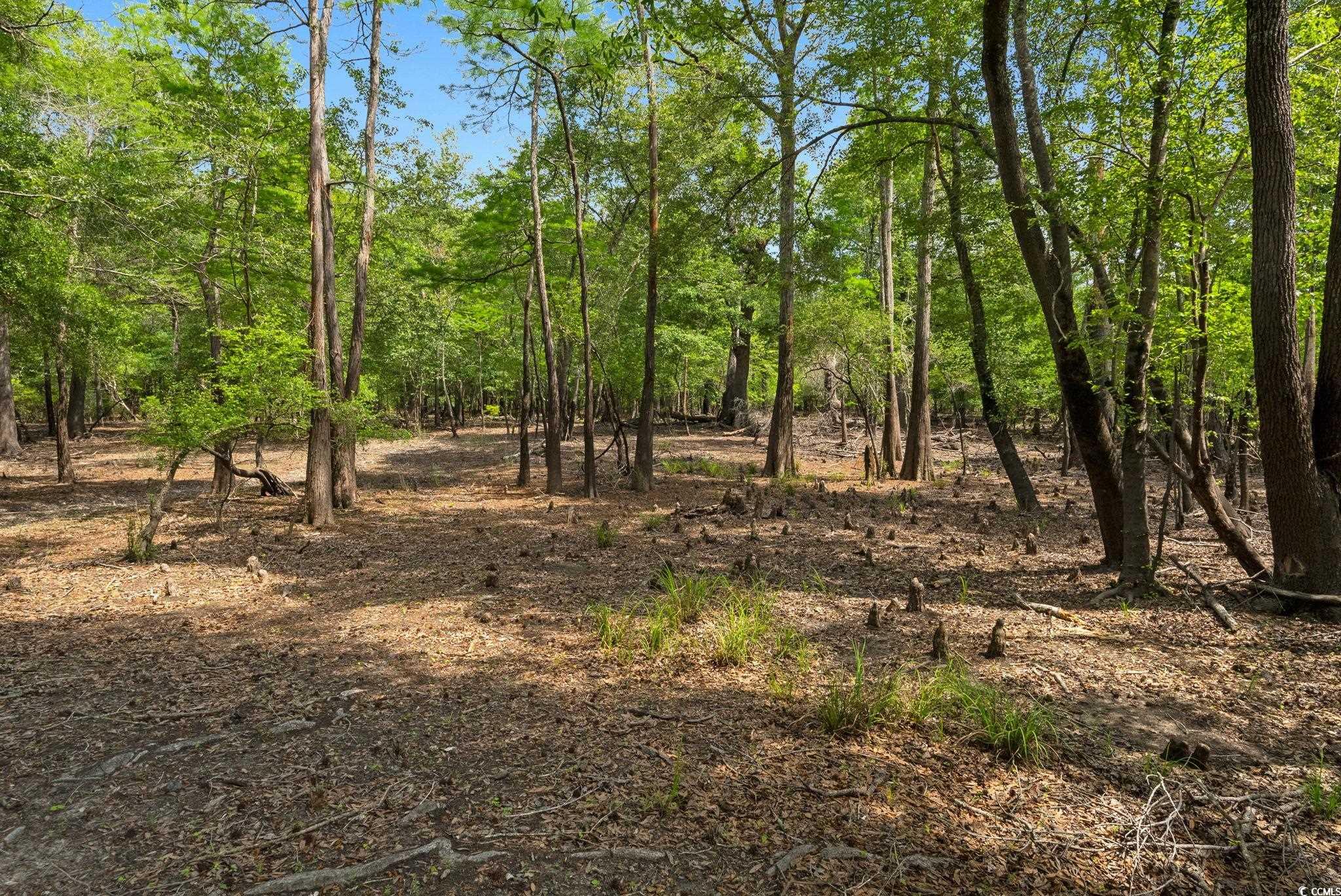 360 Cypress Flat Ct., Conway, South Carolina image 19