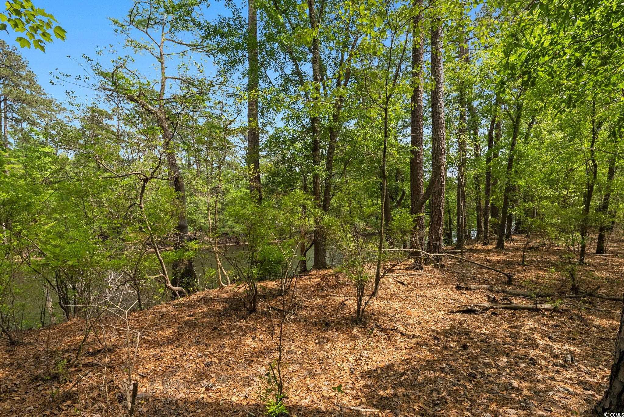 360 Cypress Flat Ct., Conway, South Carolina image 22