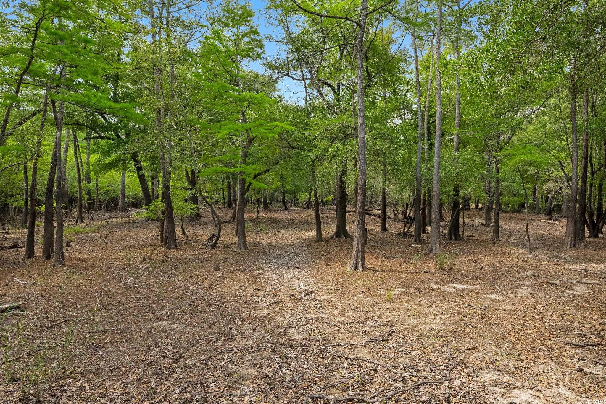 360 Cypress Flat Ct., Conway, South Carolina image 26