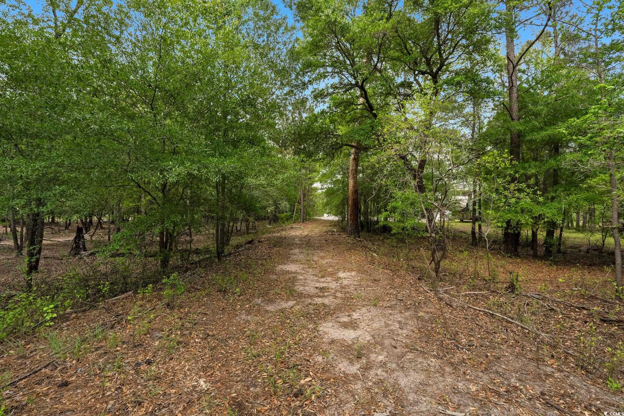 360 Cypress Flat Ct., Conway, South Carolina image 27