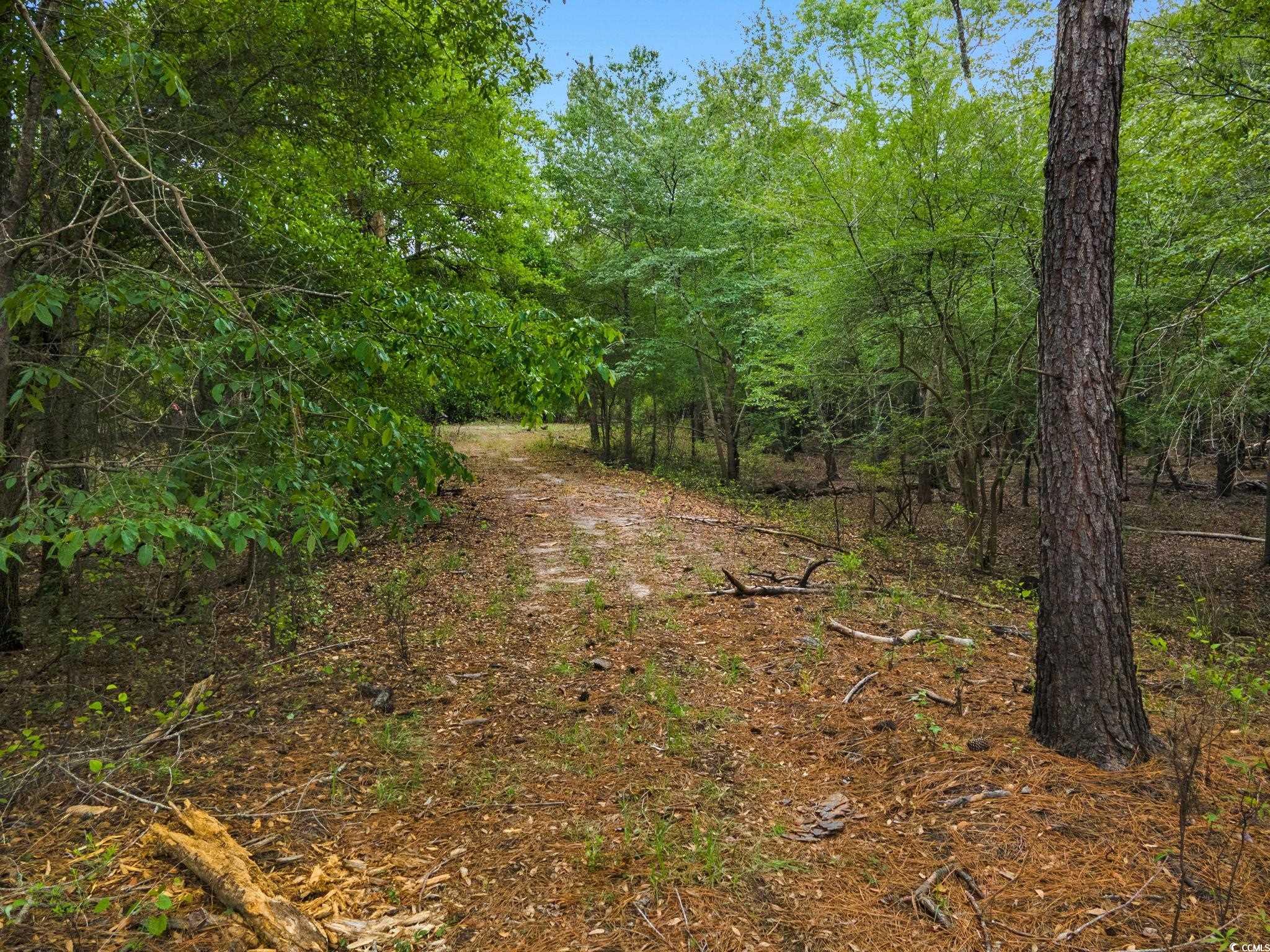 360 Cypress Flat Ct., Conway, South Carolina image 31
