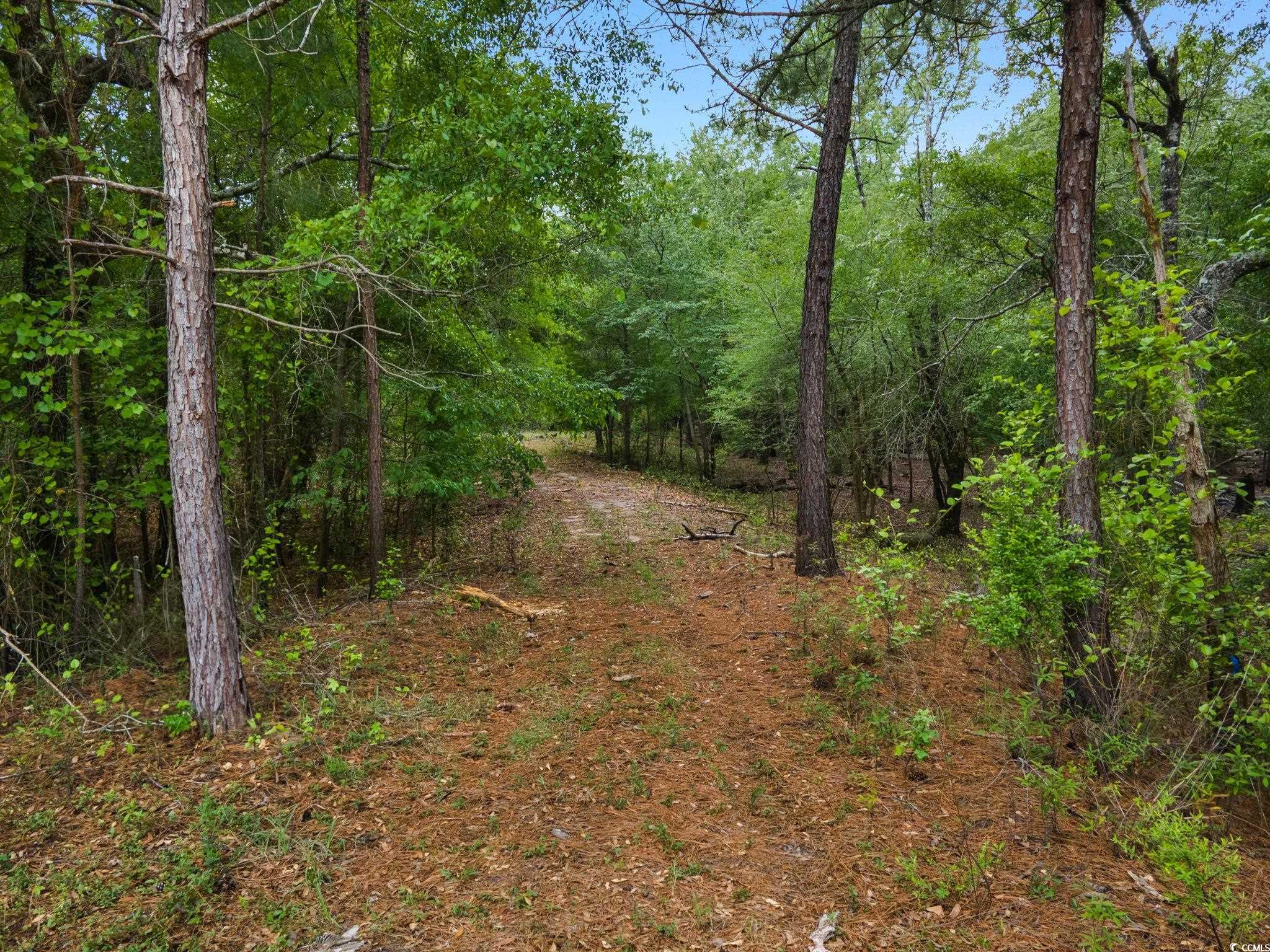 360 Cypress Flat Ct., Conway, South Carolina image 32