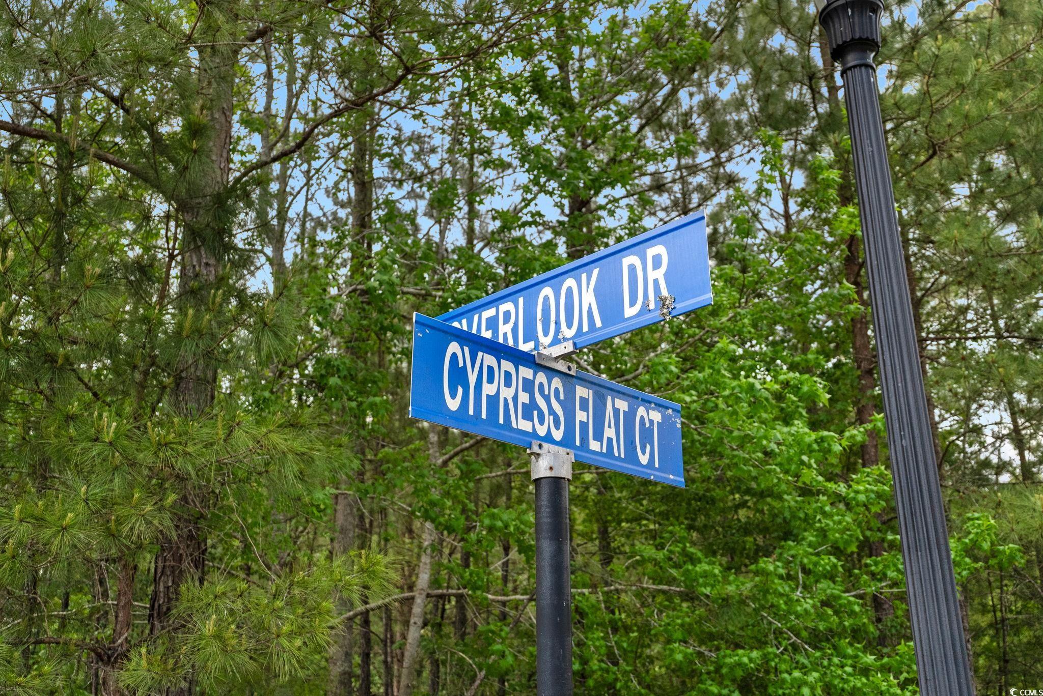 360 Cypress Flat Ct., Conway, South Carolina image 36