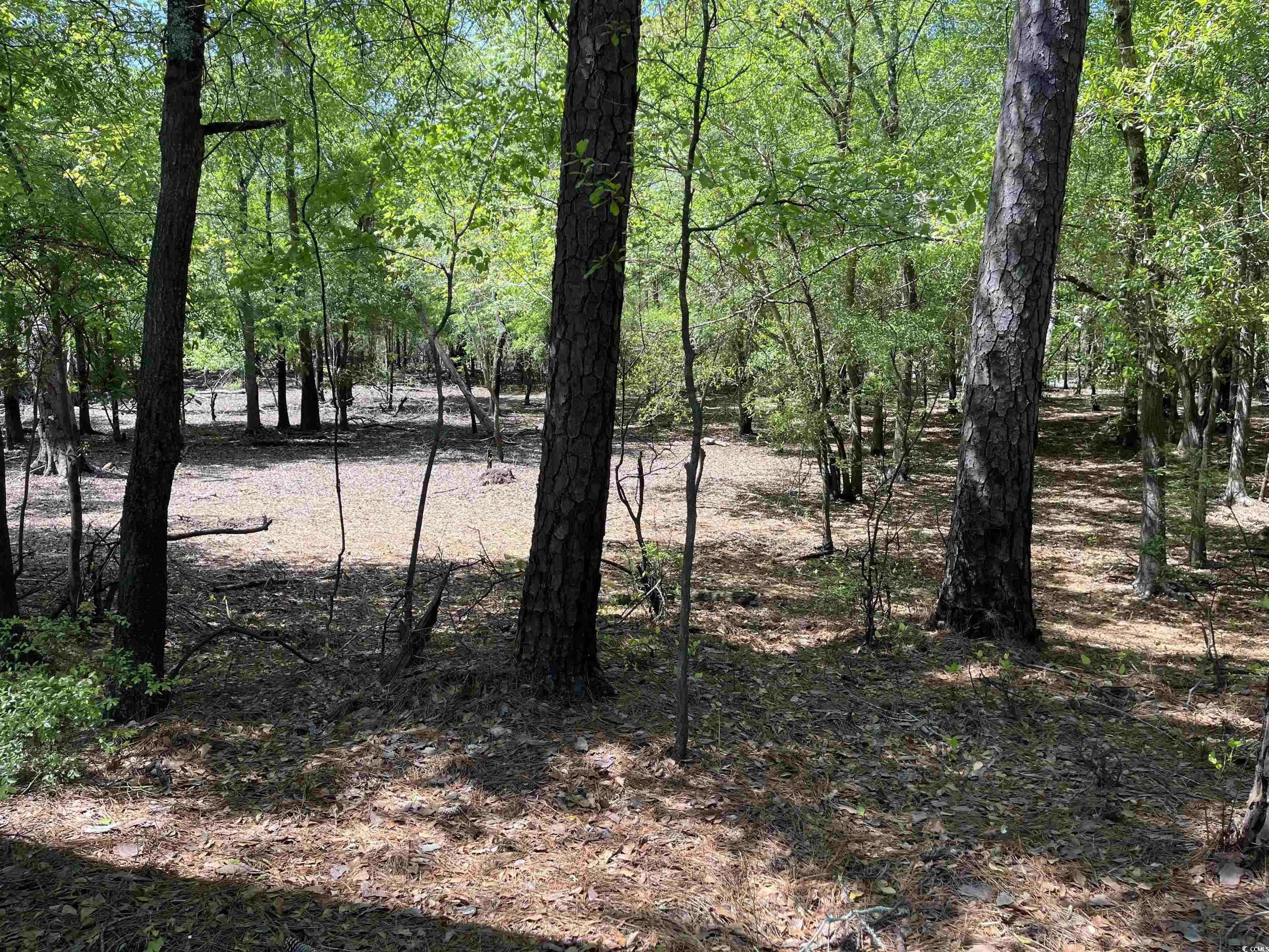 360 Cypress Flat Ct., Conway, South Carolina image 9