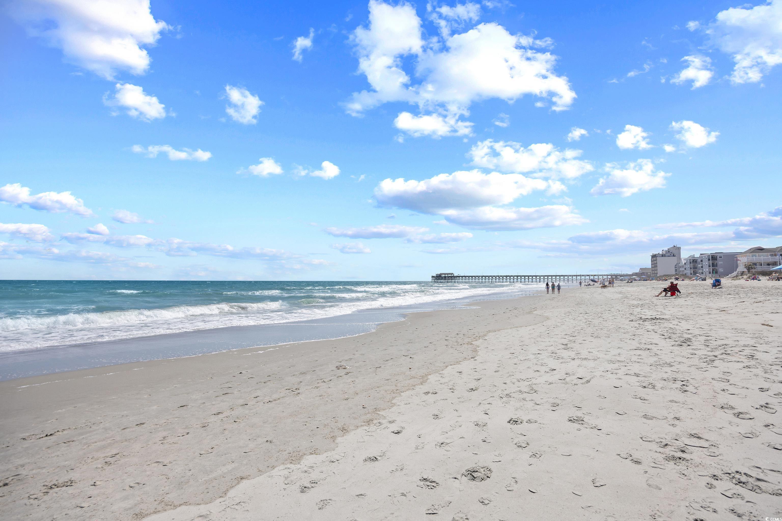 410 N Waccamaw Dr. #306, Murrells Inlet, South Carolina image 29