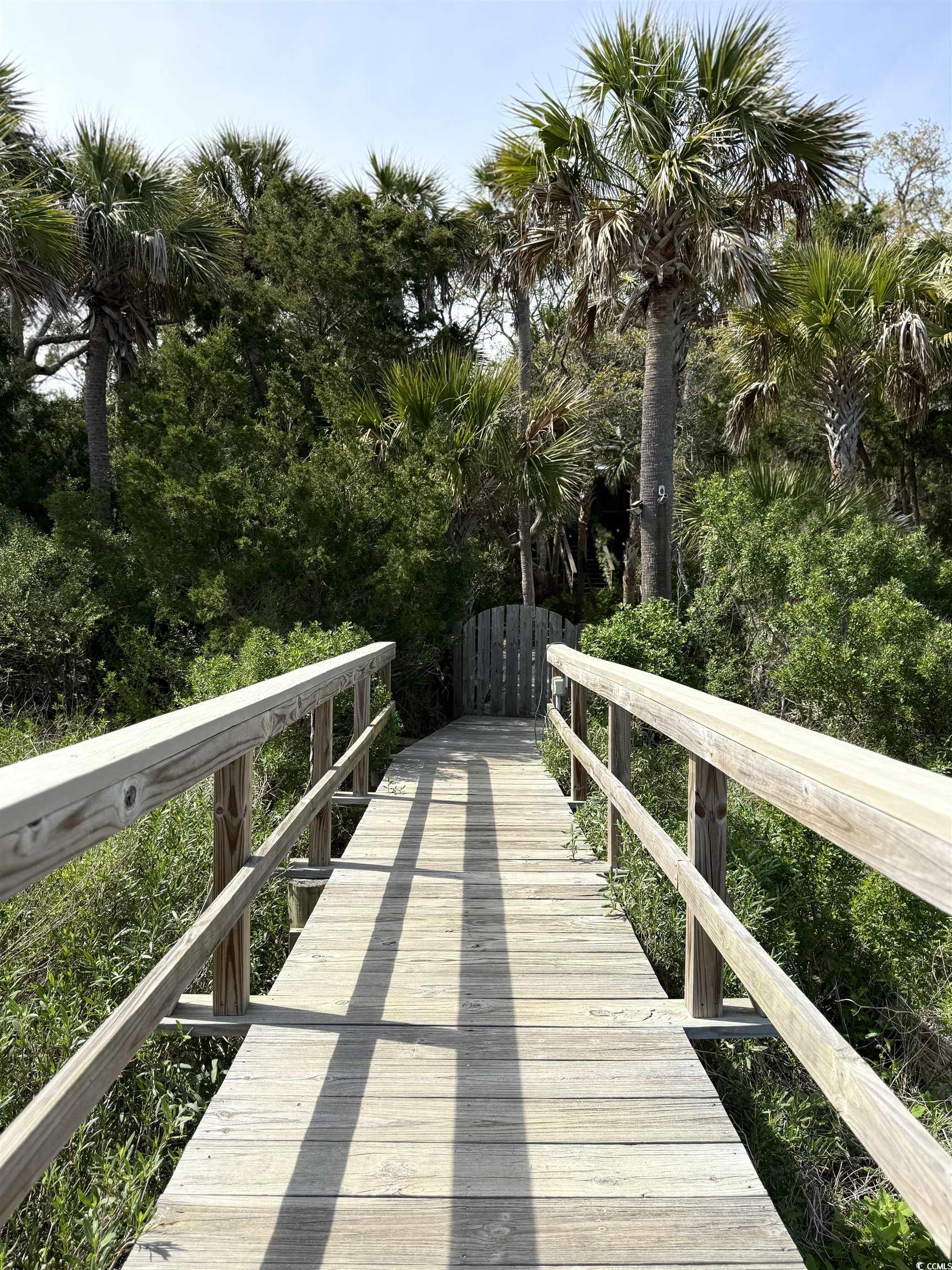 4113 Buccaneer Rd., Isle of Palms, South Carolina image 2