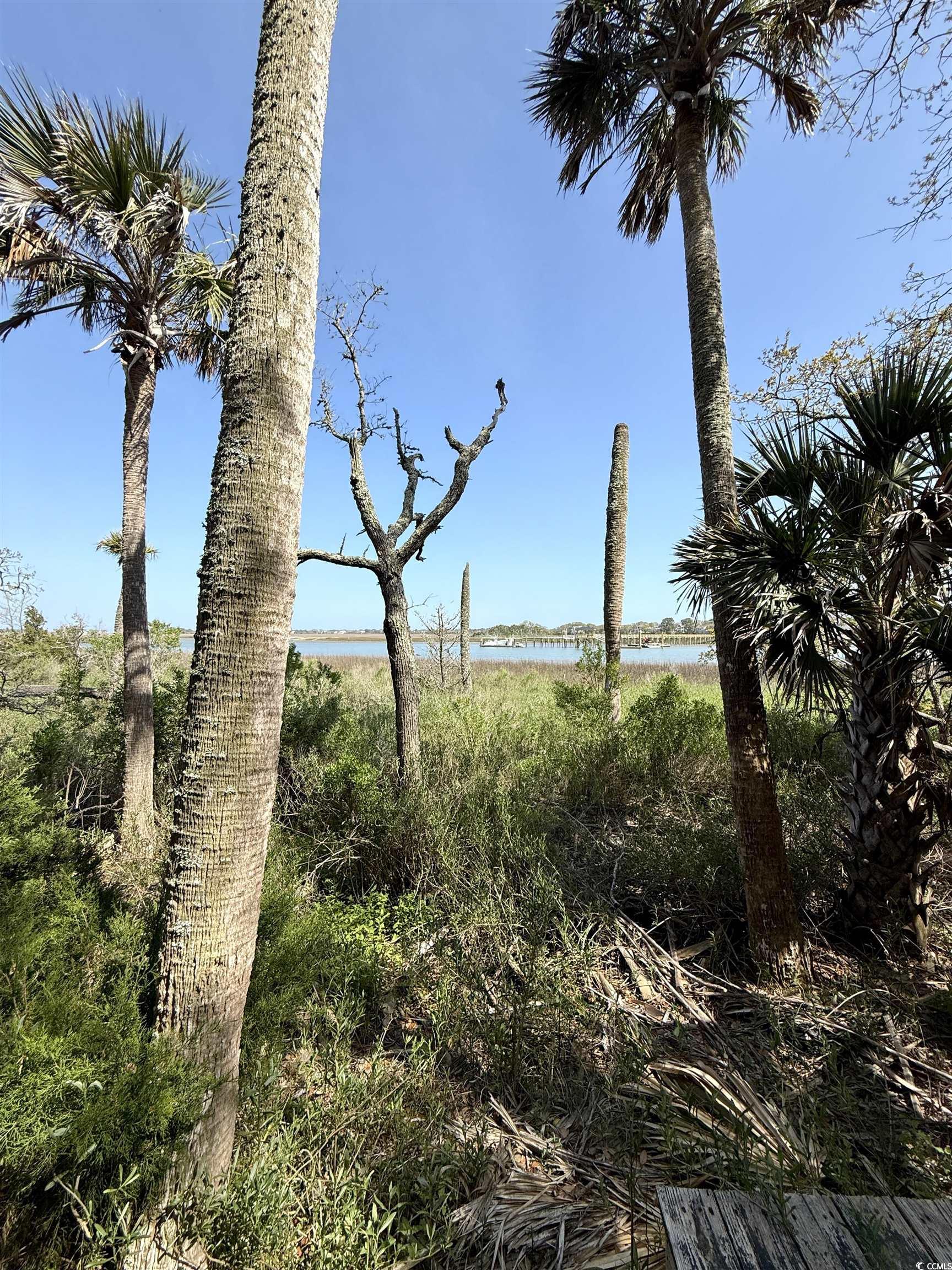 4113 Buccaneer Rd., Isle of Palms, South Carolina image 30