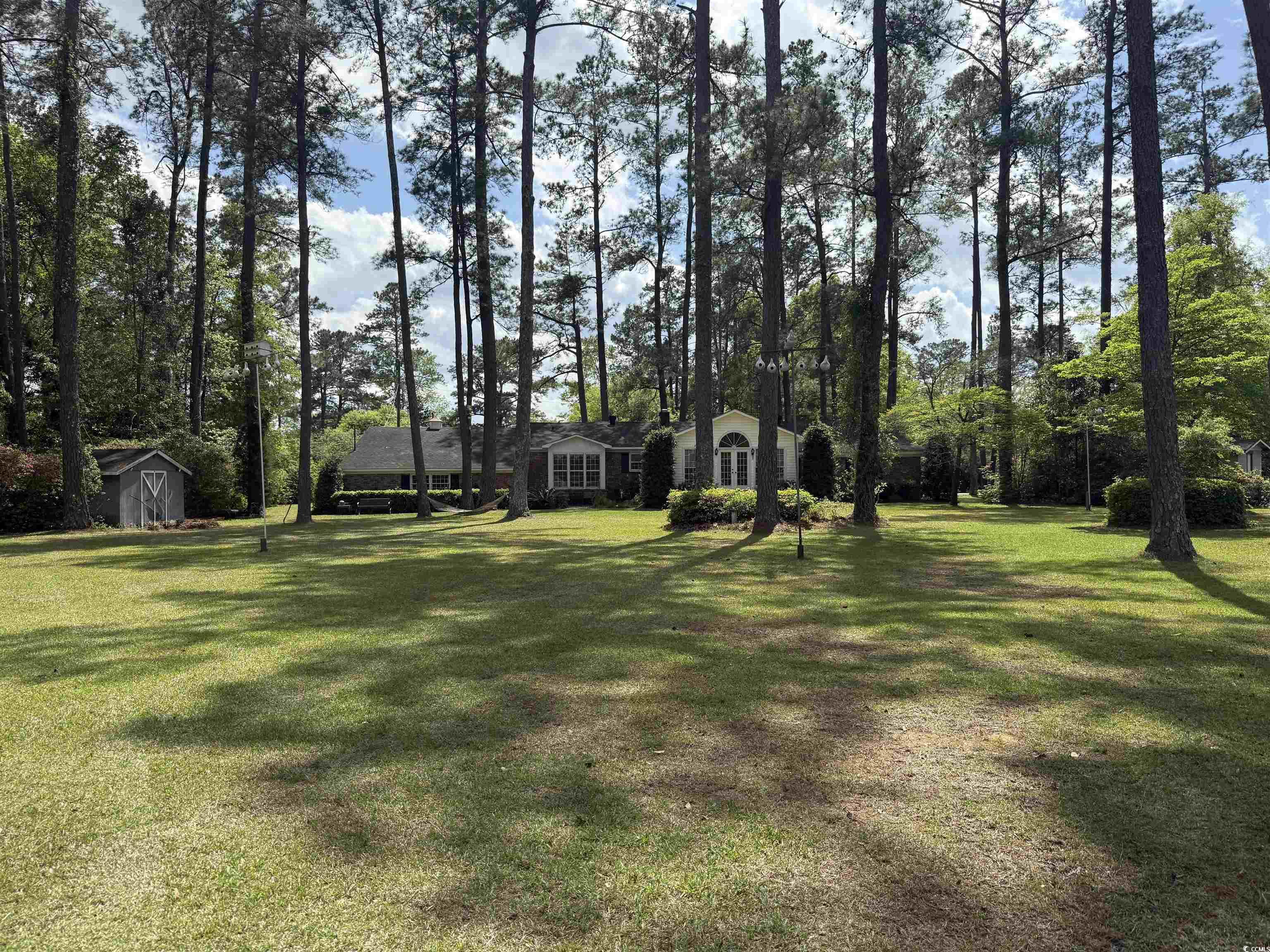106 Jessamine St., Andrews, South Carolina image 33