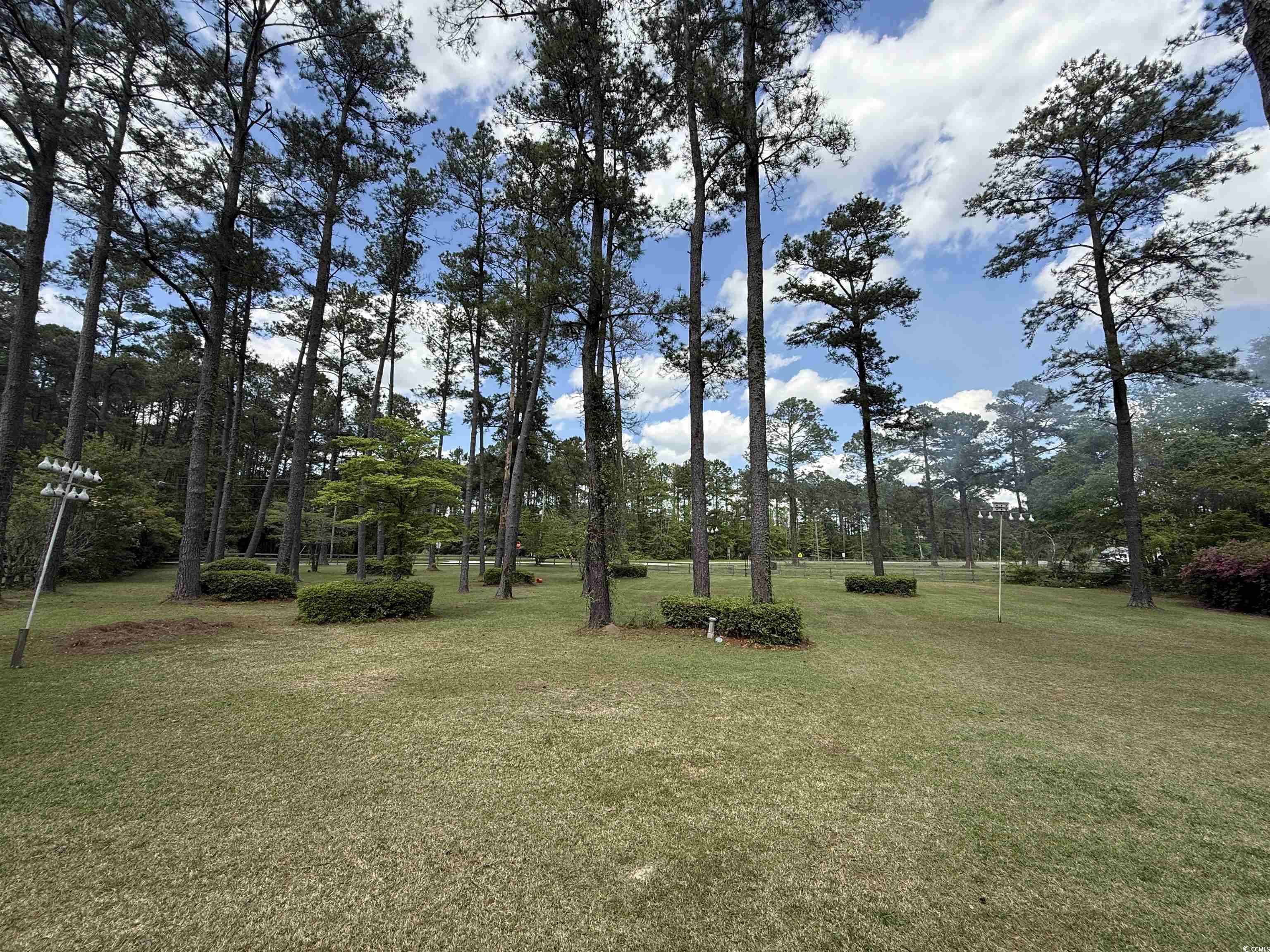 106 Jessamine St., Andrews, South Carolina image 35