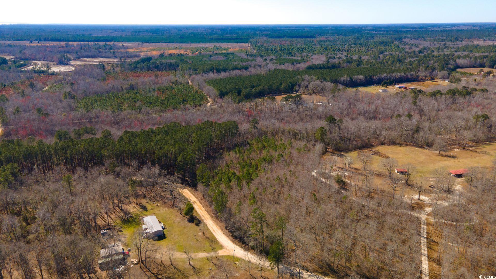 Henry Rd., Greeleyville, South Carolina image 3