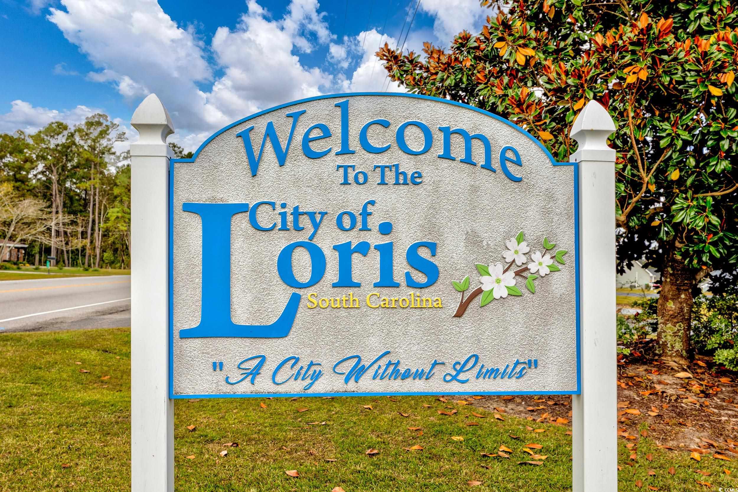 2939 King St., Loris, South Carolina image 36