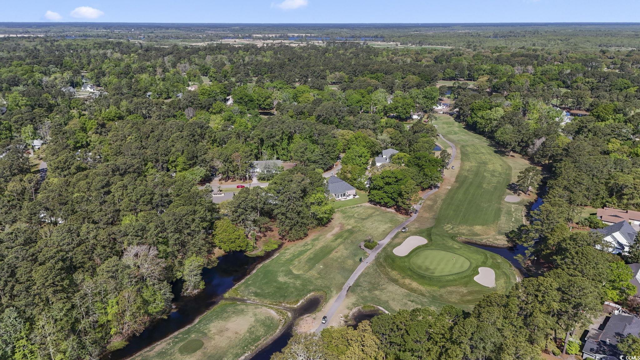 209 Goodson Loop, Pawleys Island, South Carolina image 38