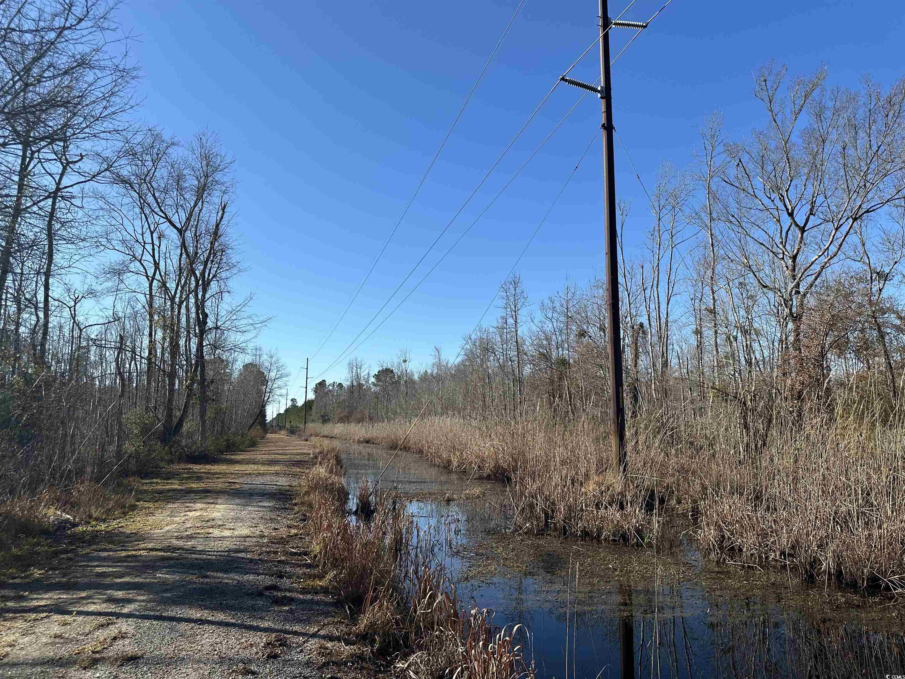 148 Acres-TBD Highway 521, Andrews, South Carolina image 11