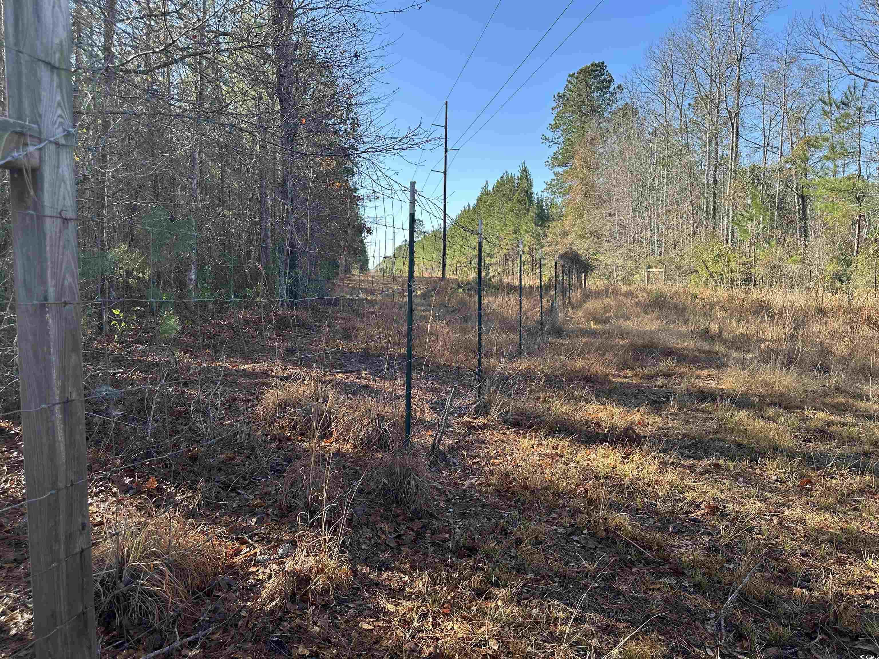 148 Acres-TBD Highway 521, Andrews, South Carolina image 15
