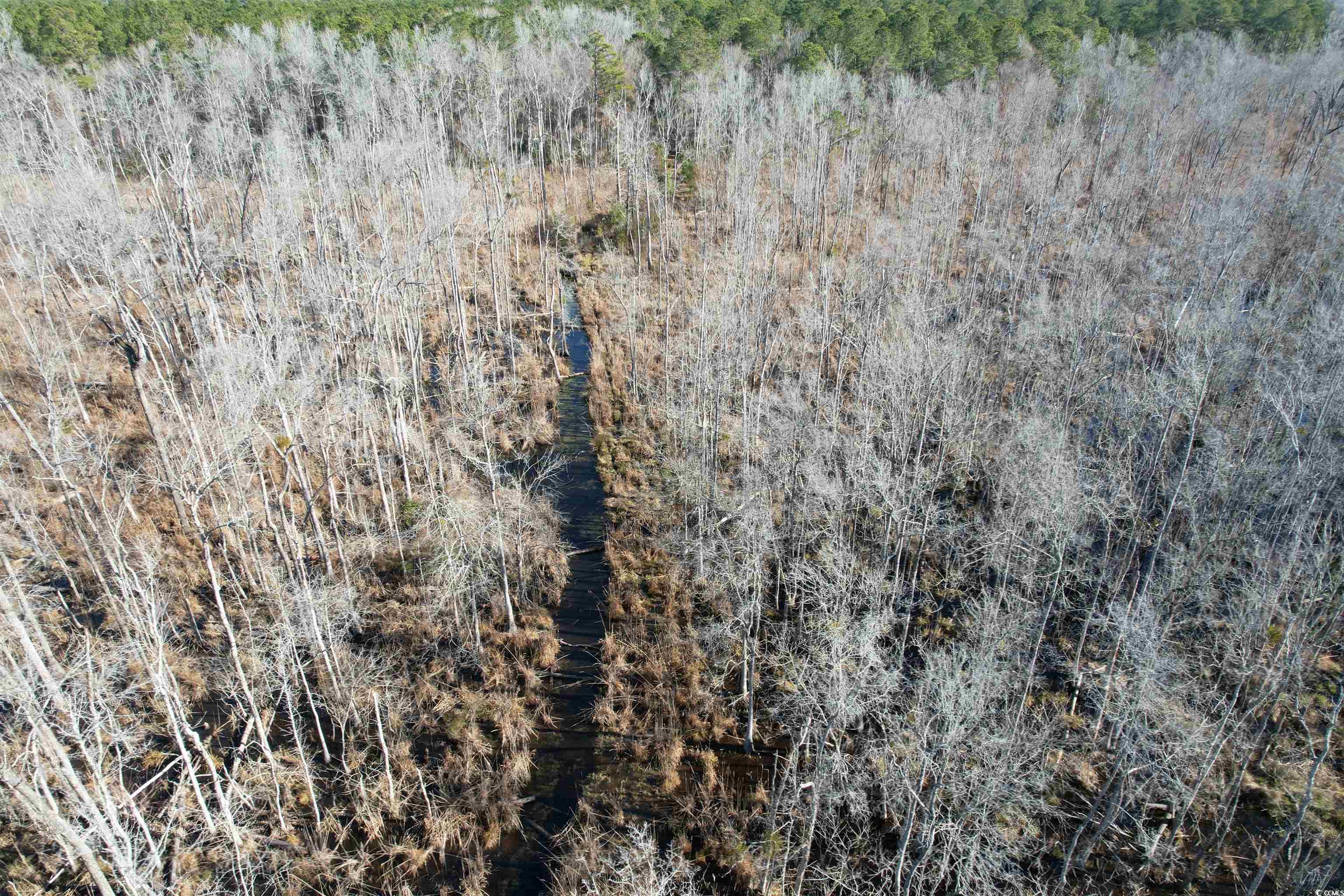 148 Acres-TBD Highway 521, Andrews, South Carolina image 27