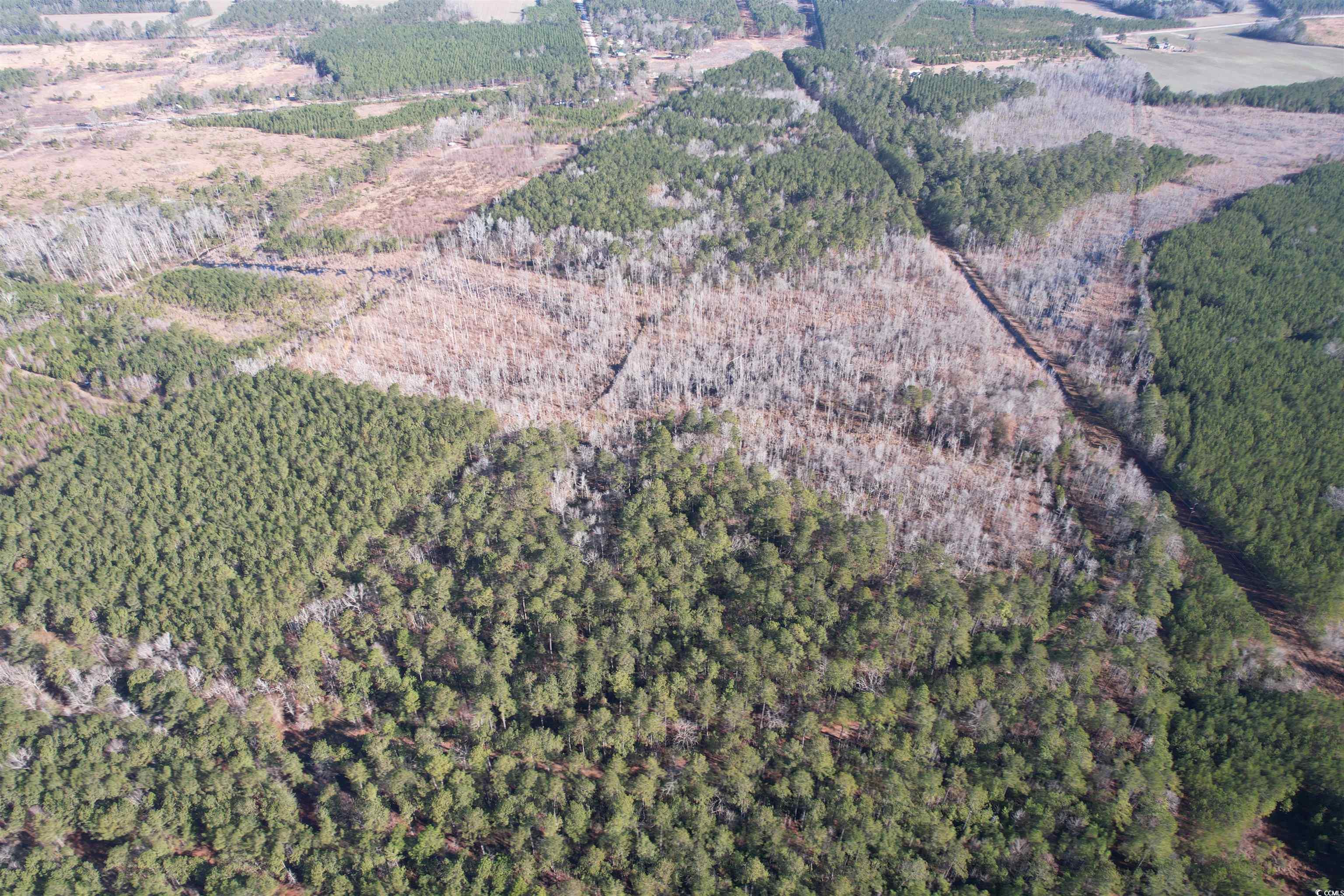 148 Acres-TBD Highway 521, Andrews, South Carolina image 33