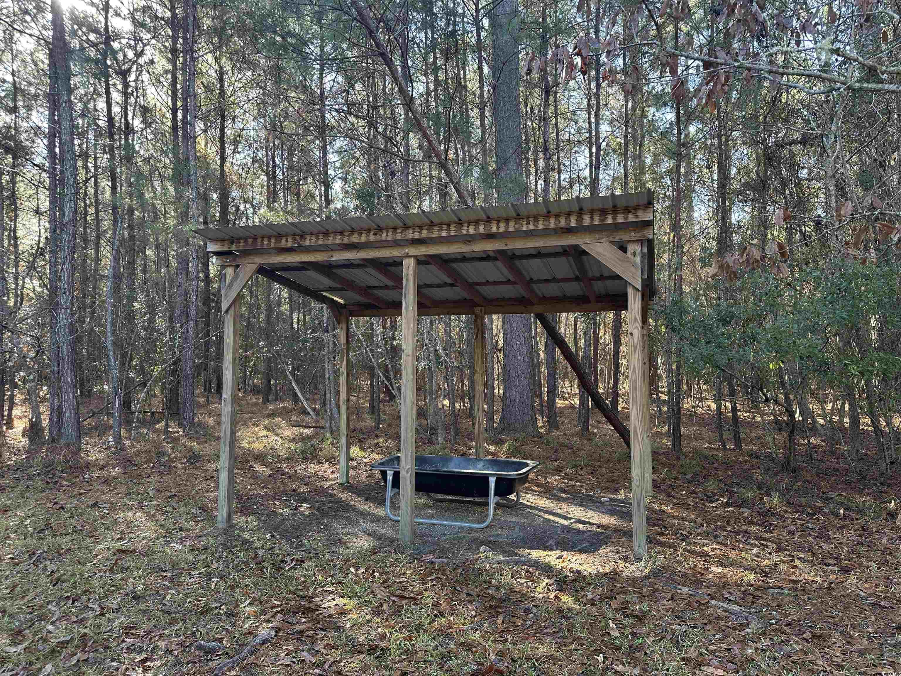 148 Acres-TBD Highway 521, Andrews, South Carolina image 5