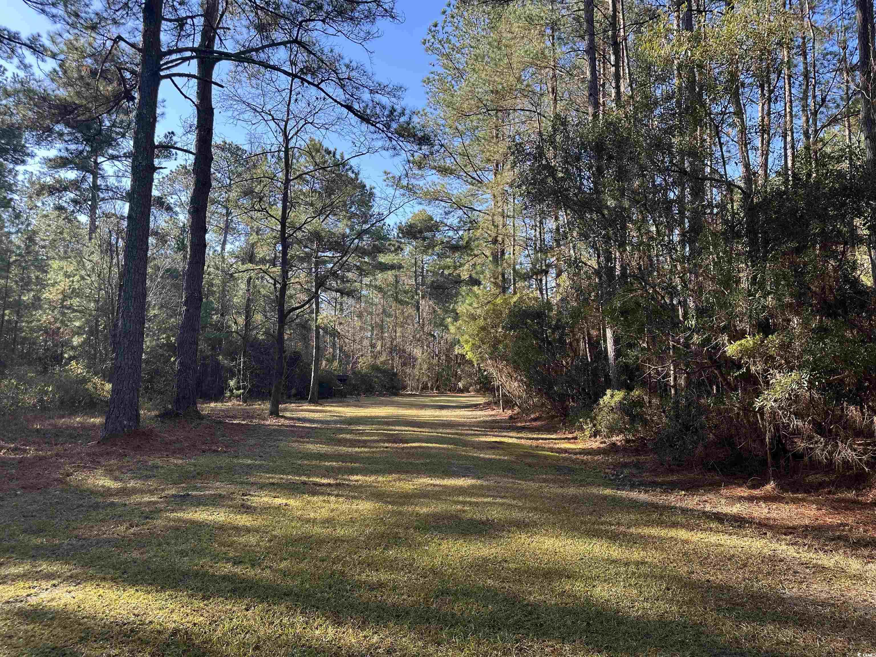 148 Acres-TBD Highway 521, Andrews, South Carolina image 6
