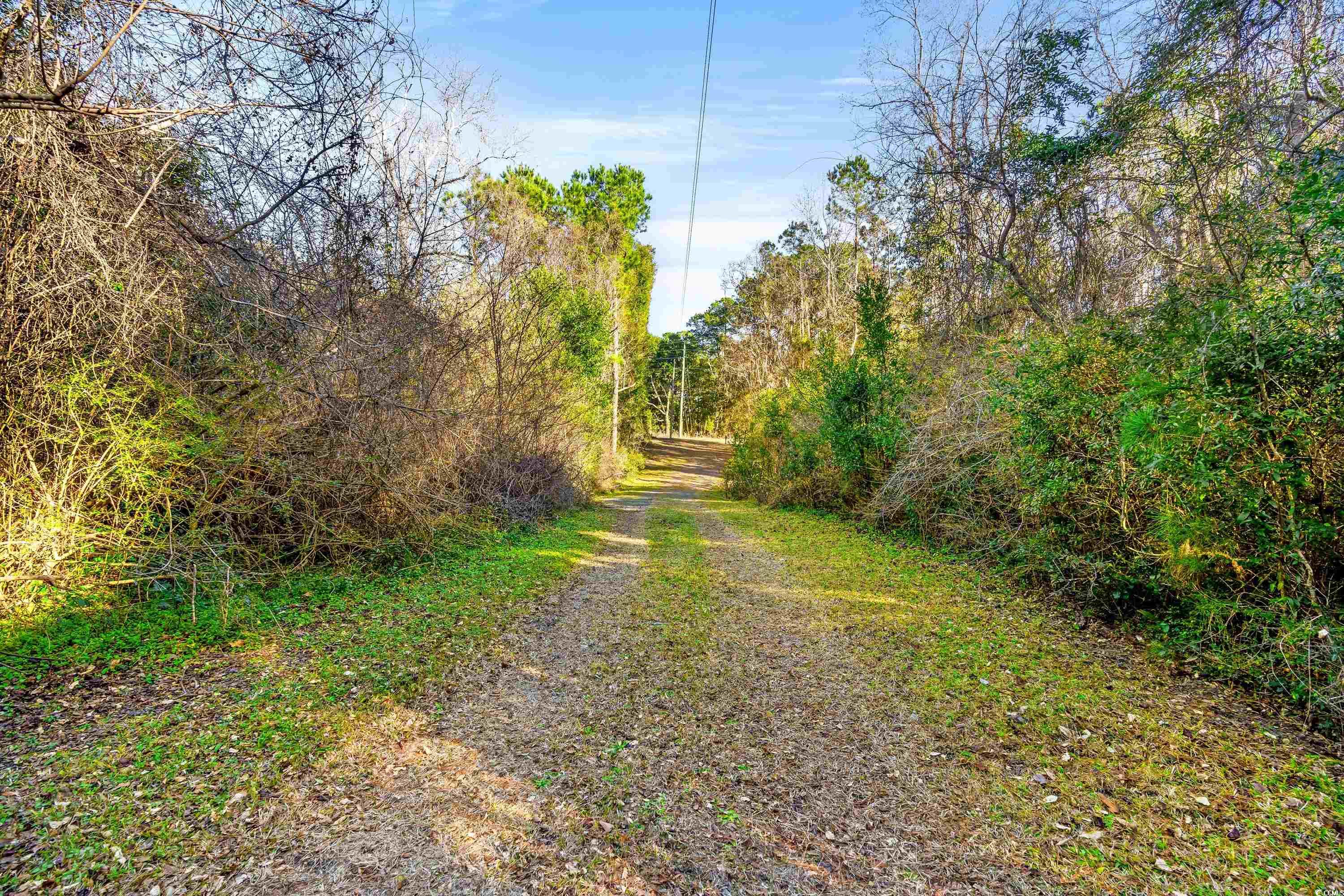 3673 S Island Rd., Georgetown, South Carolina image 18