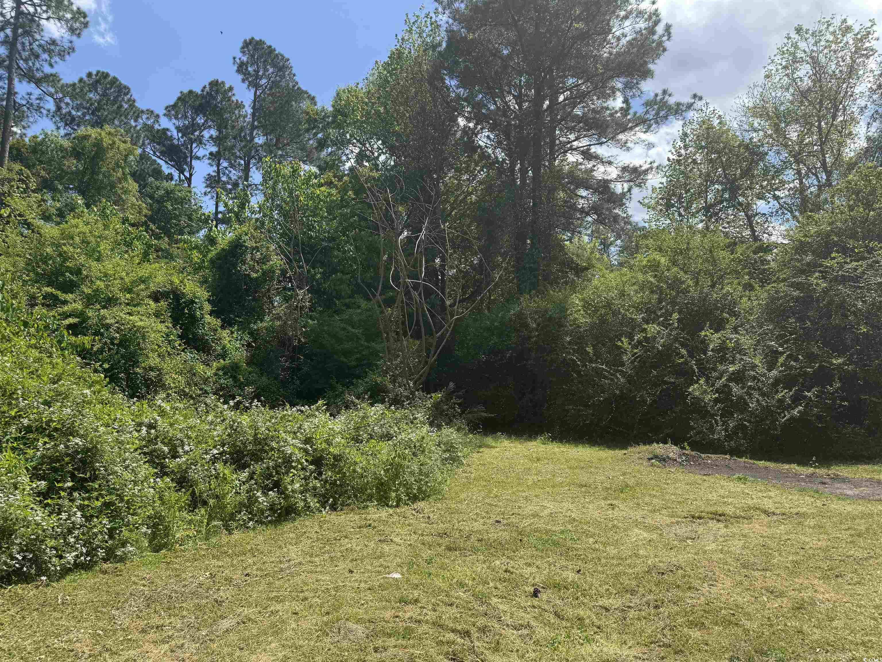 42 Hollywood Ave., Andrews, South Carolina image 2