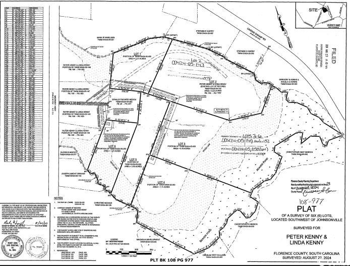 TBD Sheila Dr., Johnsonville, South Carolina image 10