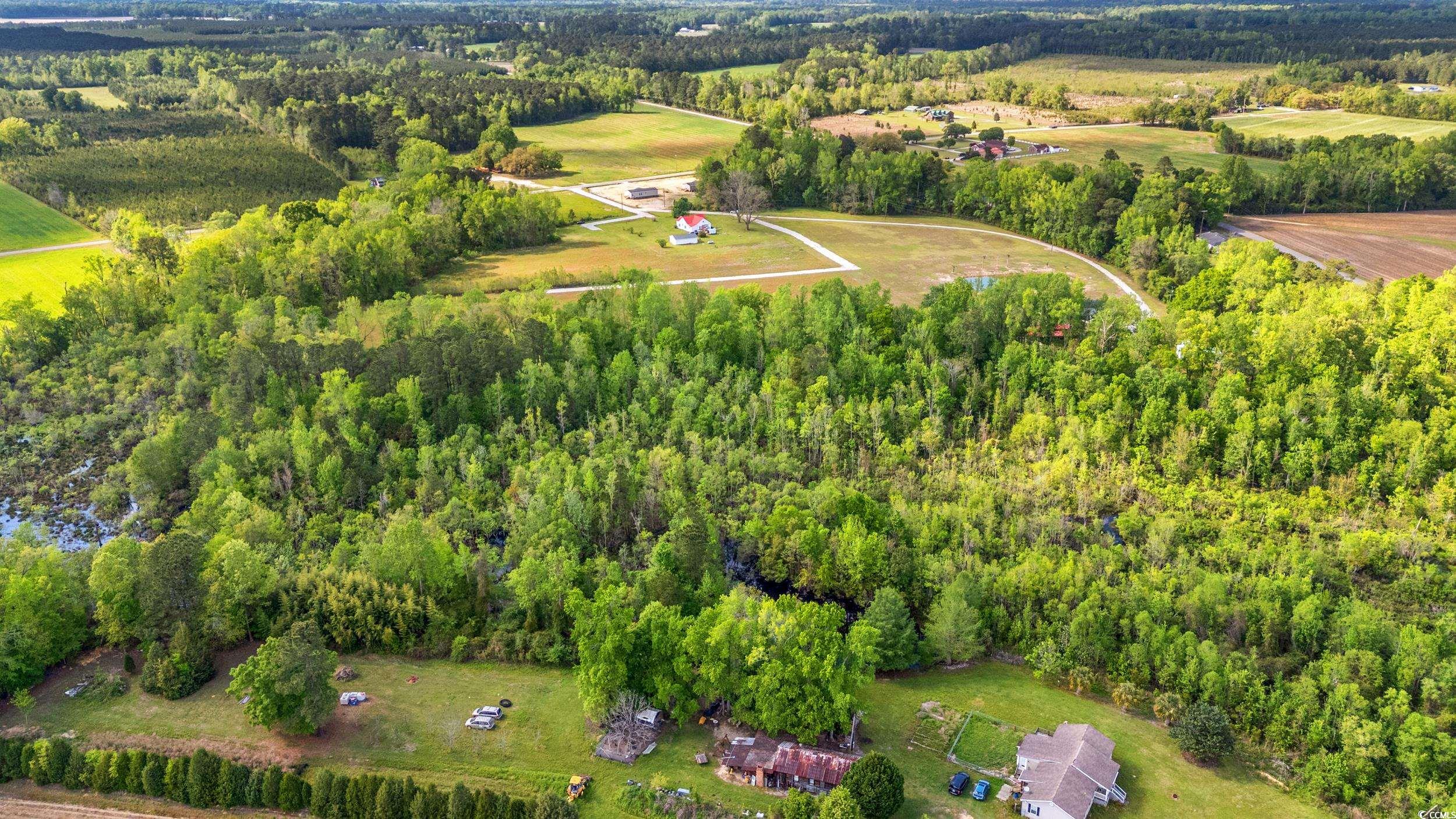 TBD Sheila Dr., Johnsonville, South Carolina image 9