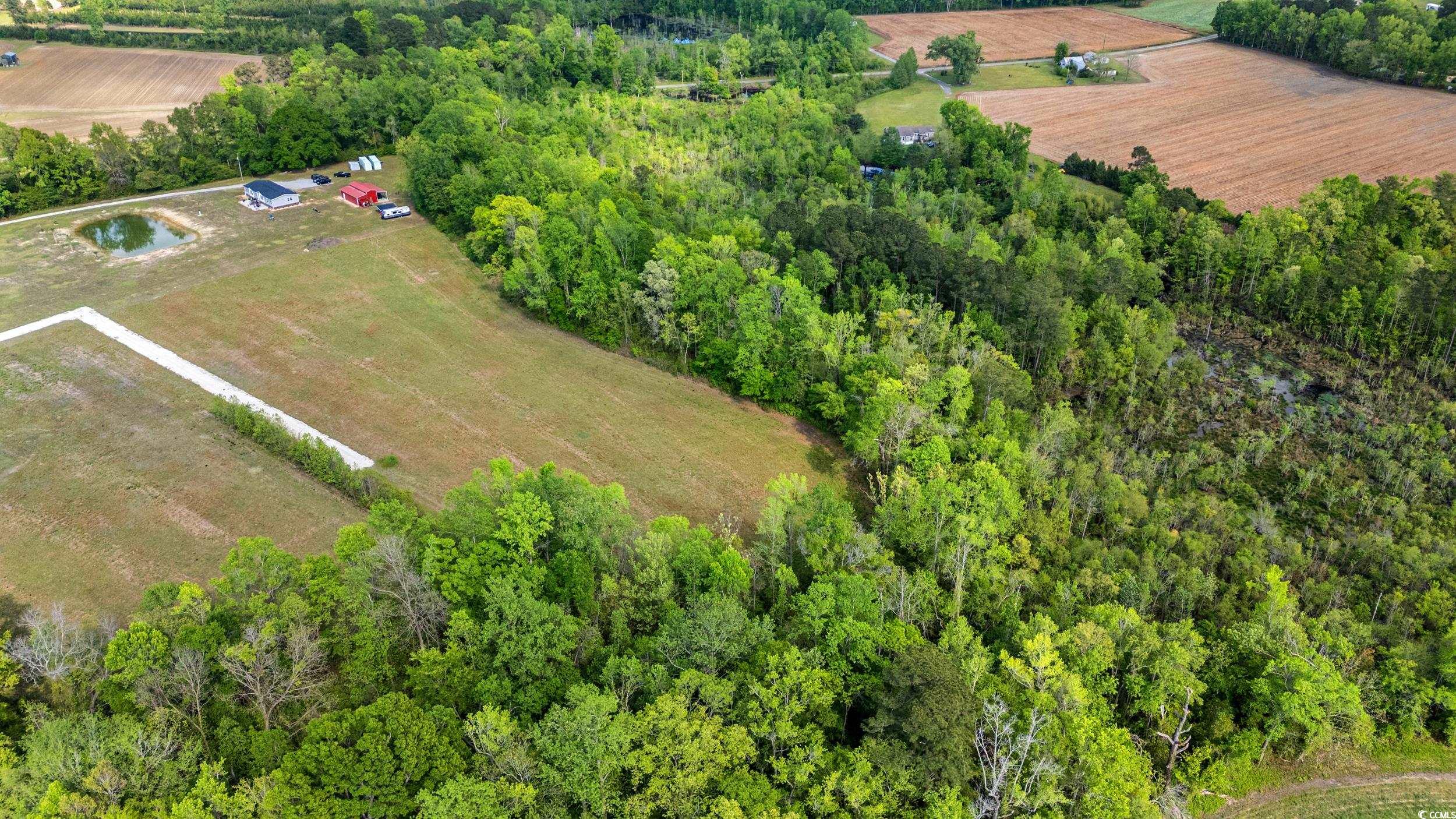 TBD Sheila Dr., Johnsonville, South Carolina image 3