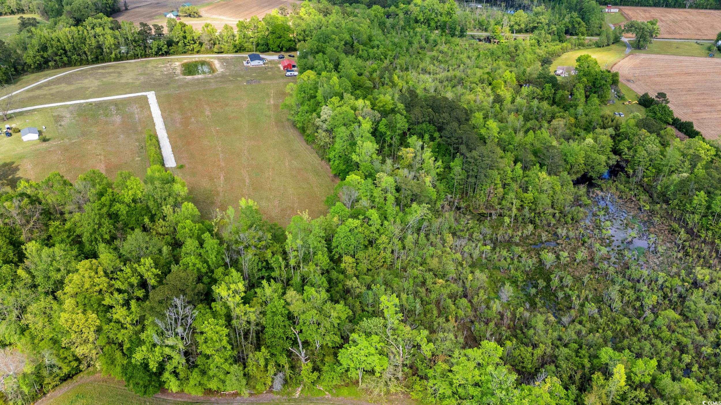 TBD Sheila Dr., Johnsonville, South Carolina image 7