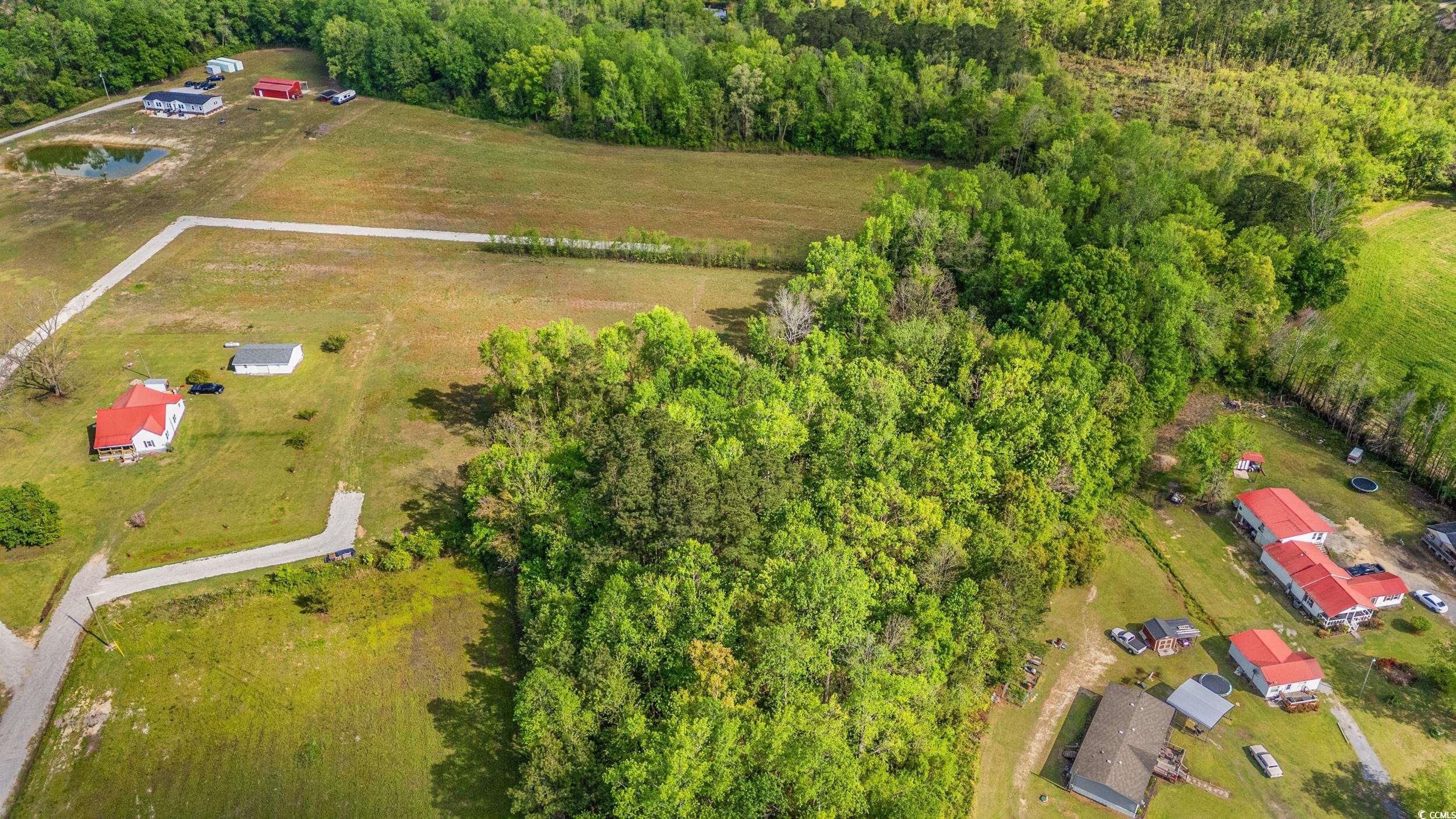 TBD Sheila Dr., Johnsonville, South Carolina image 5
