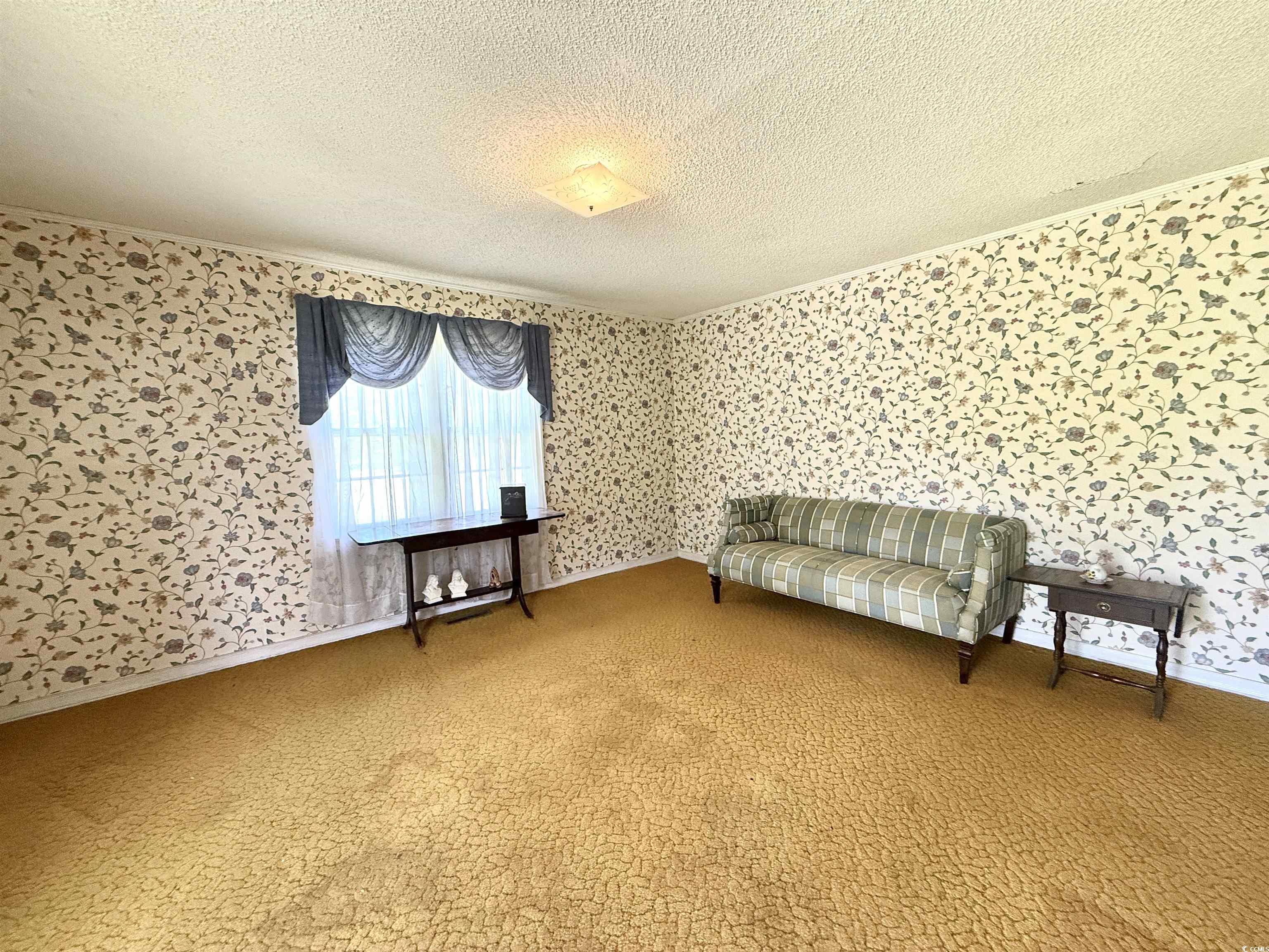 701 Martin Luther King Dr., Andrews, South Carolina image 2