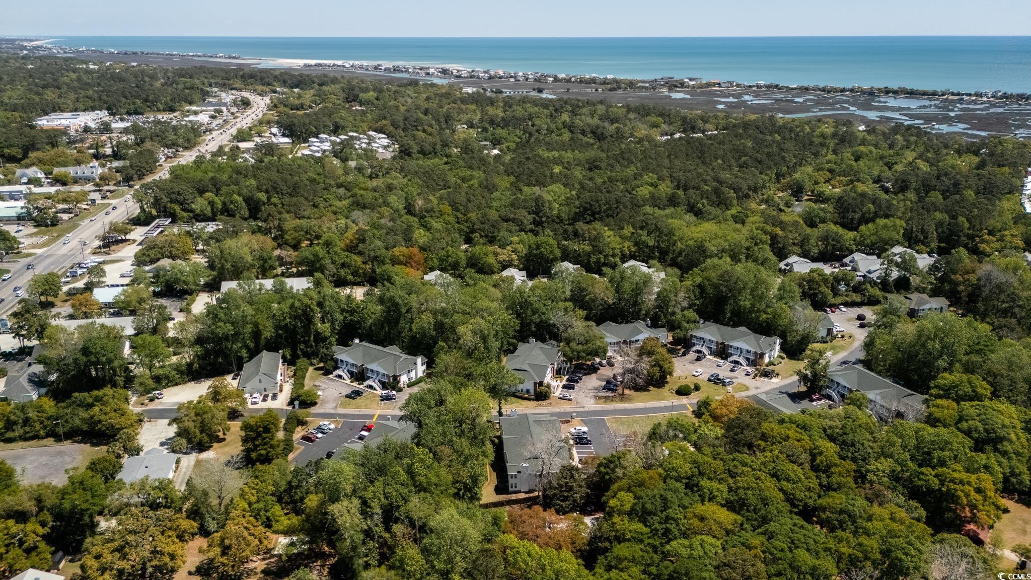 245 Egret Run Ln. #1023, Pawleys Island, South Carolina image 25