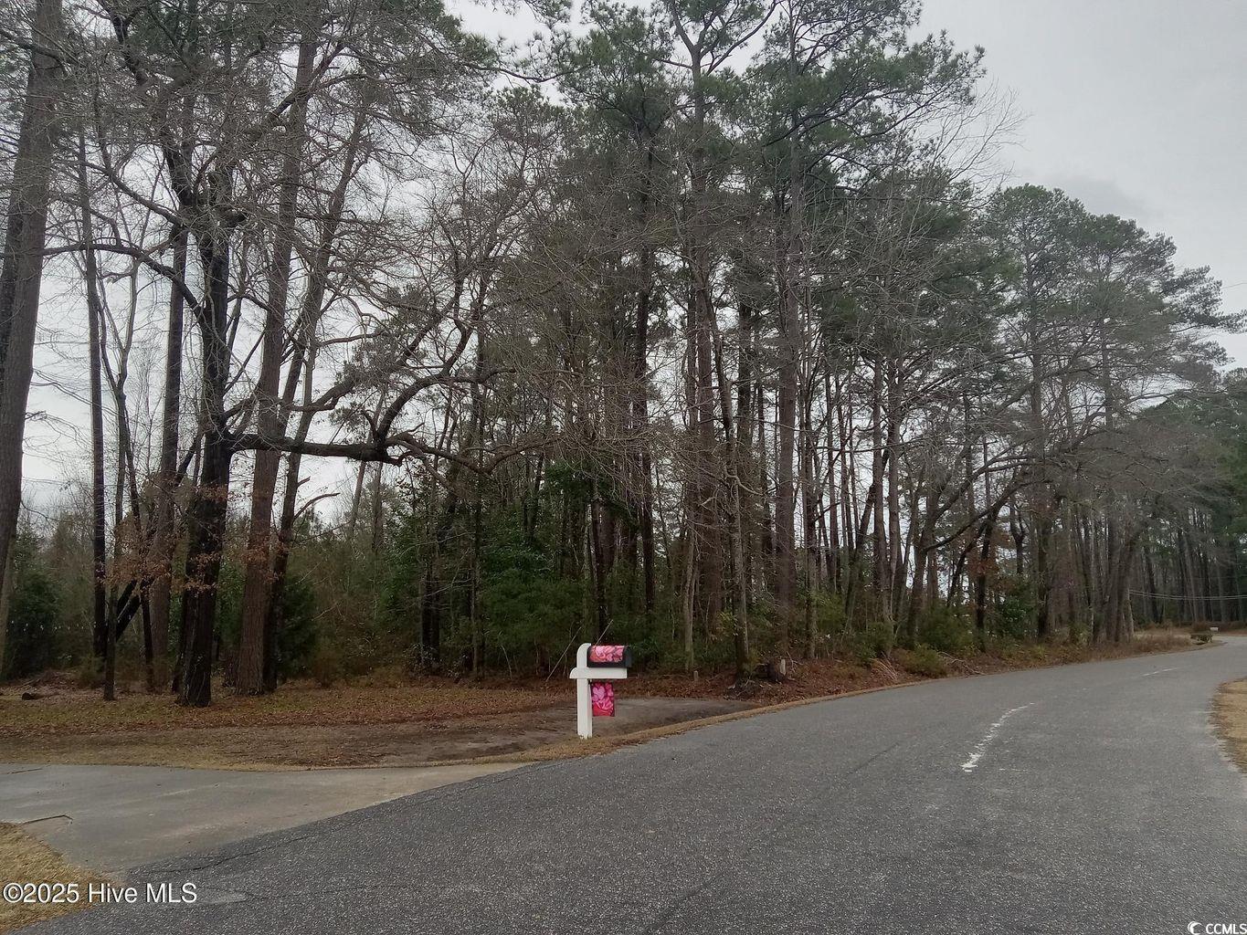 296 Country Club Rd., Whiteville, North Carolina image 4