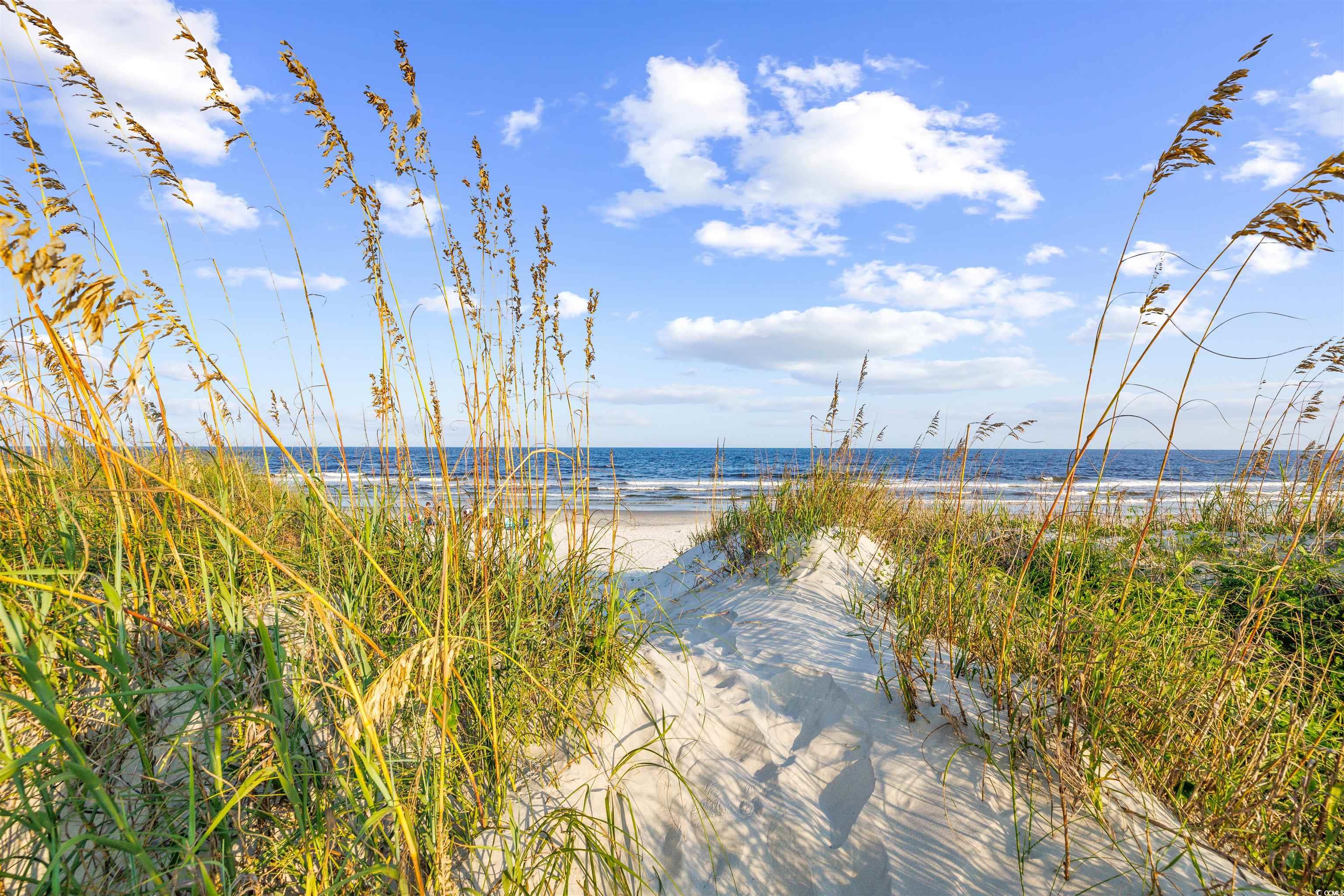 95 Vineyard Place #33, Pawleys Island, South Carolina image 40