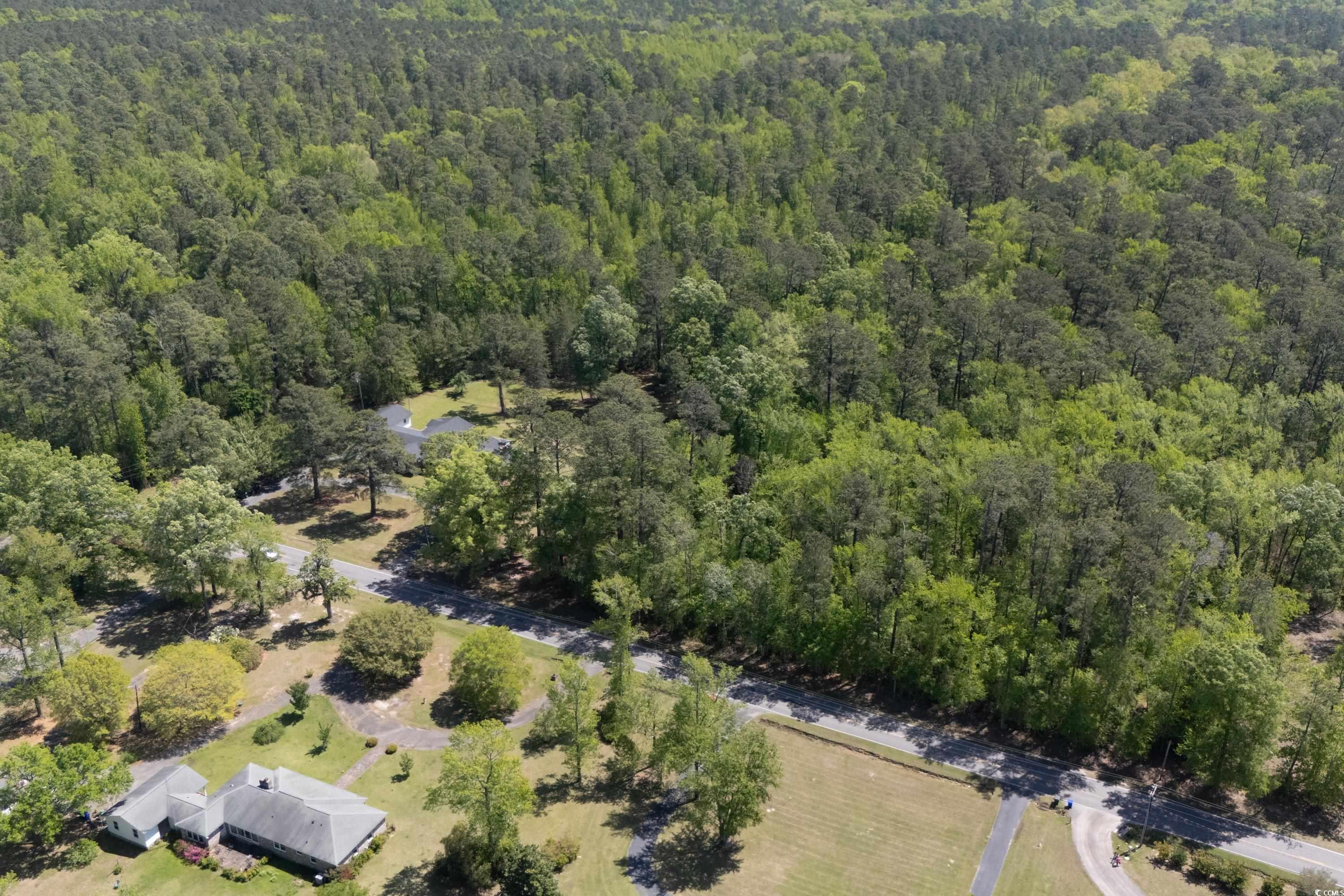 TBD Long Avenue Ext., Conway, South Carolina image 1