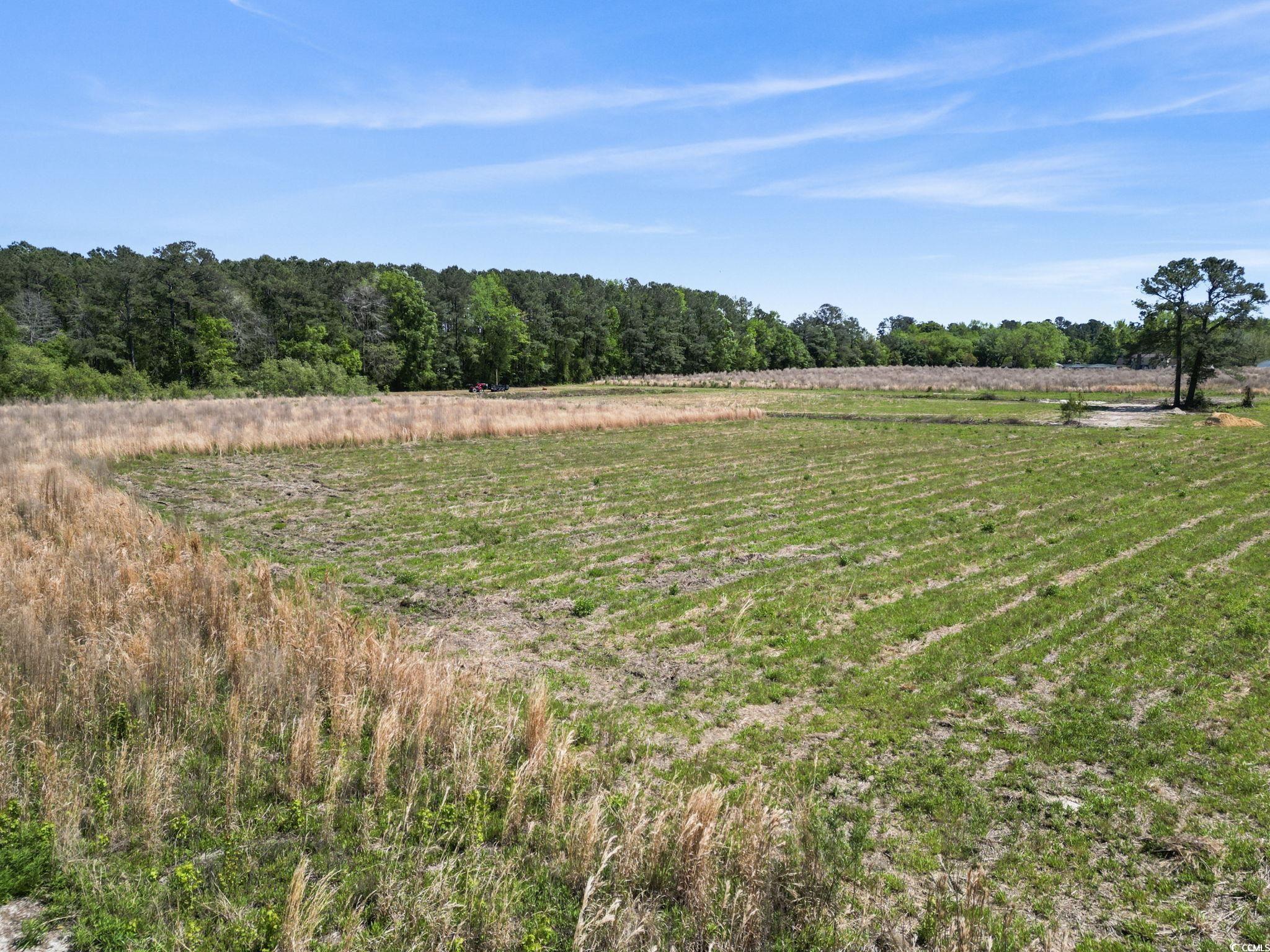 Lot 7 Jewel Ln., Conway, South Carolina image 10