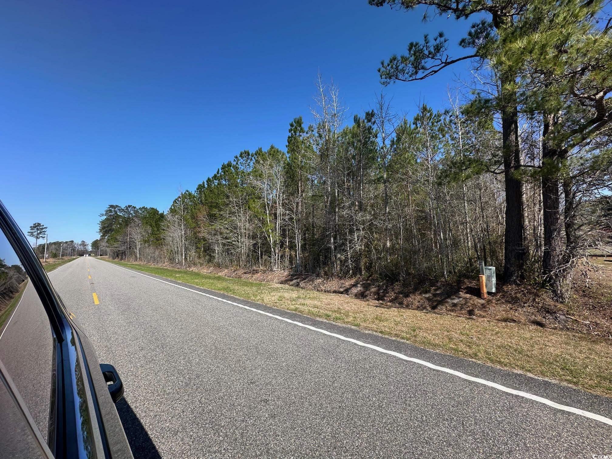 TBD Joyner Swamp Rd., Galivants Ferry, South Carolina image 1
