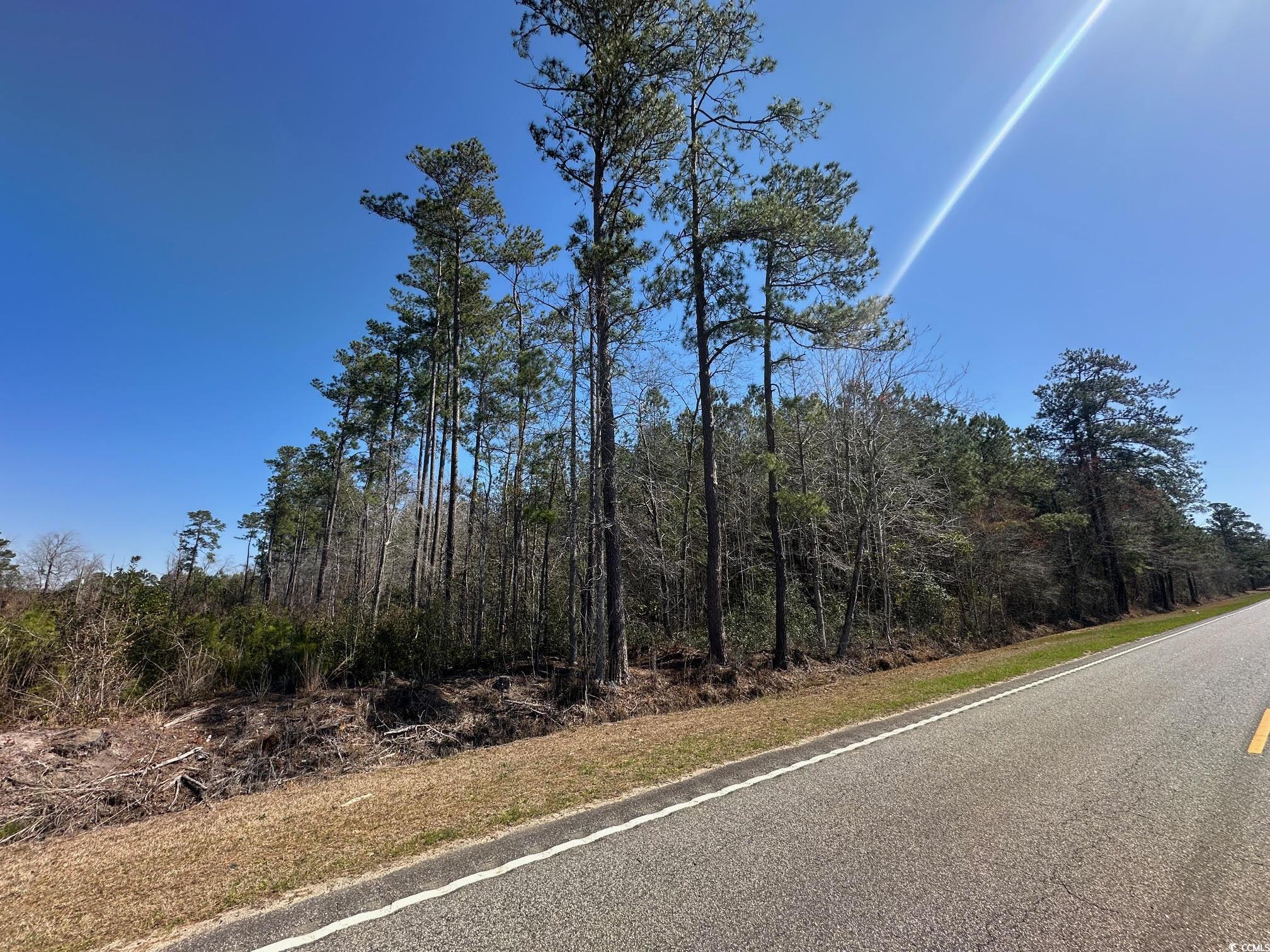 TBD Joyner Swamp Rd., Galivants Ferry, South Carolina image 5