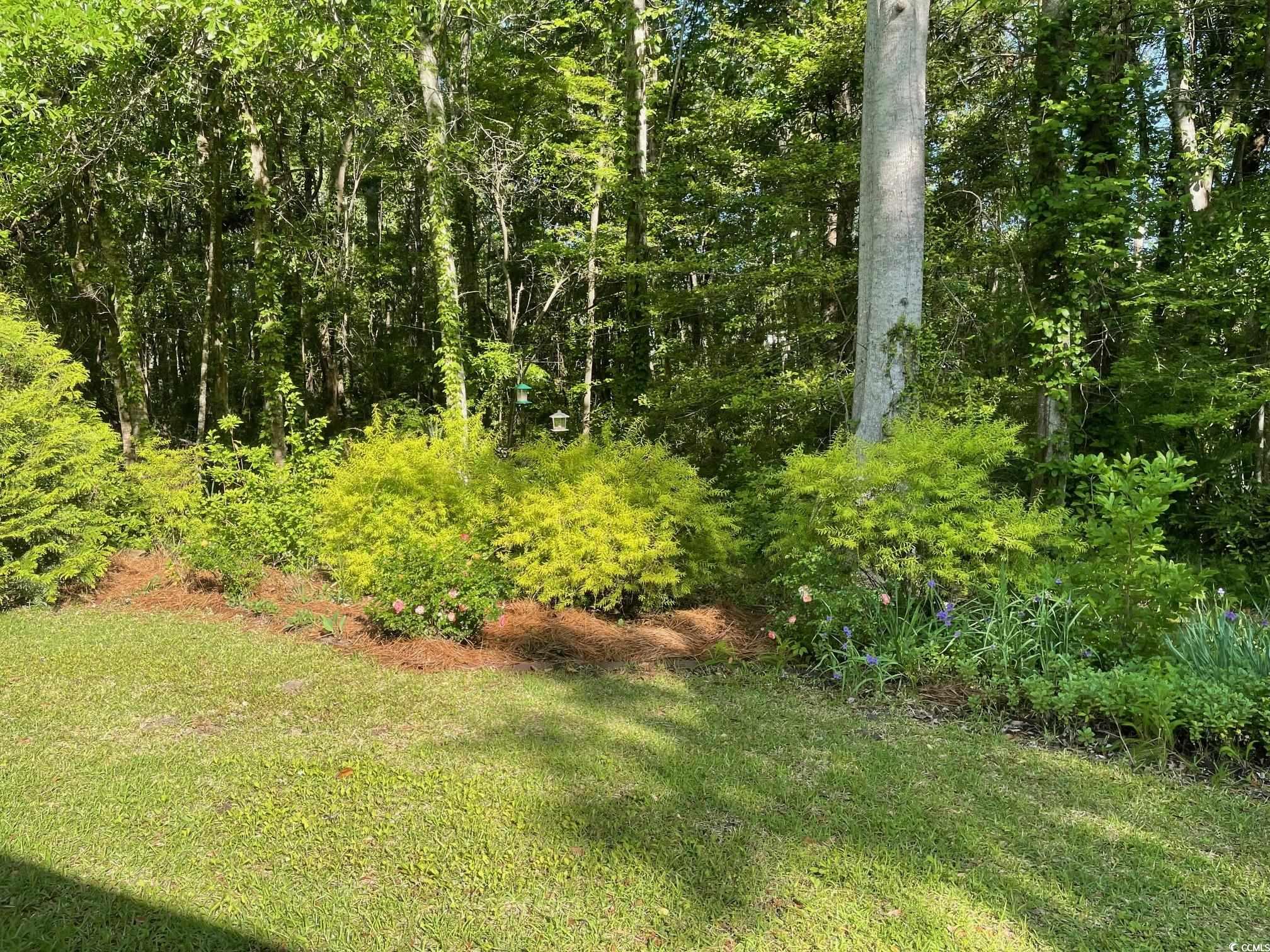 64 Reef Run Rd., Pawleys Island, South Carolina image 31