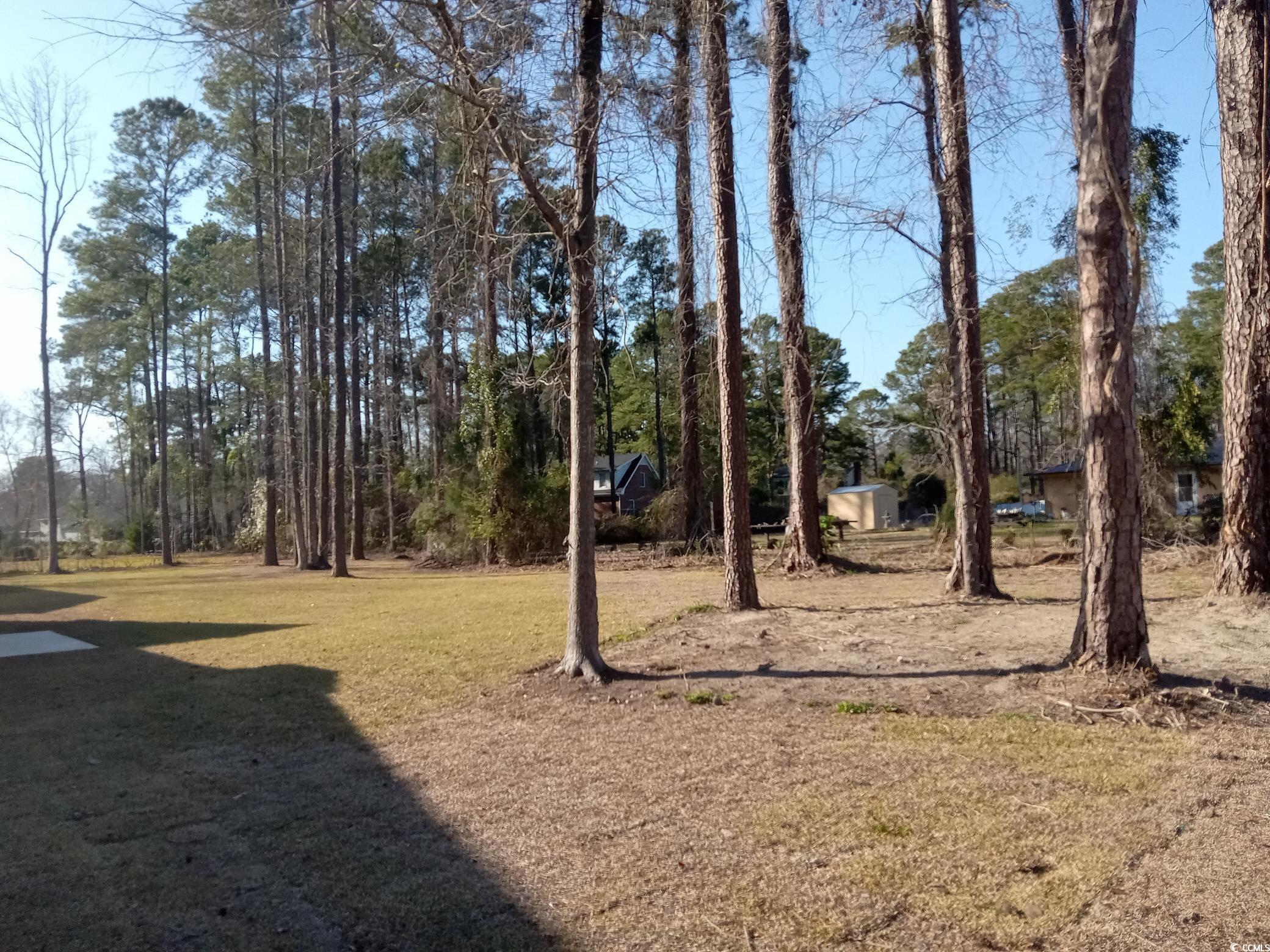 525 Vineland Dr, Whiteville, North Carolina image 22