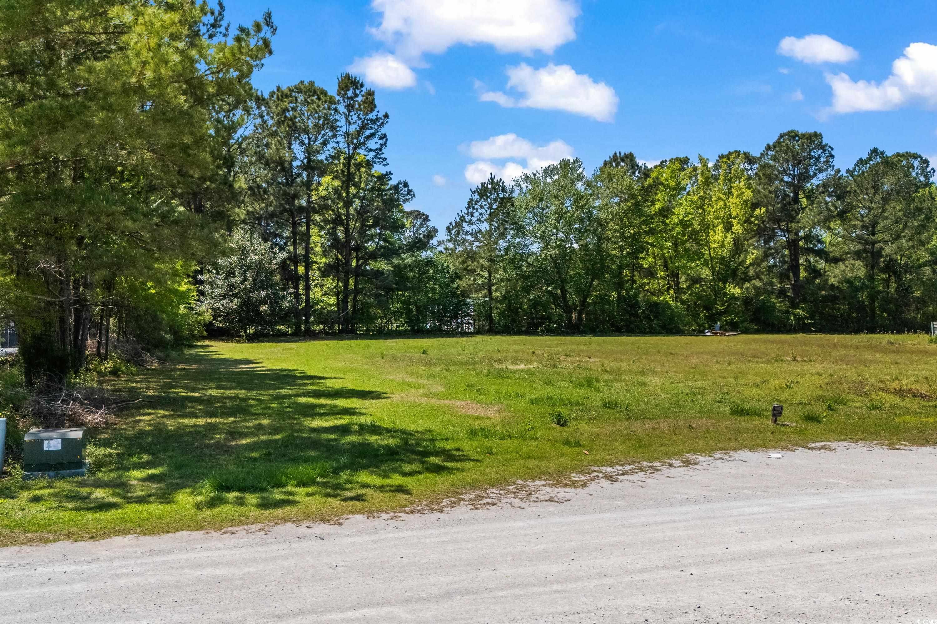 TBD Lot #1 Satellite Circle, Conway, South Carolina image 1