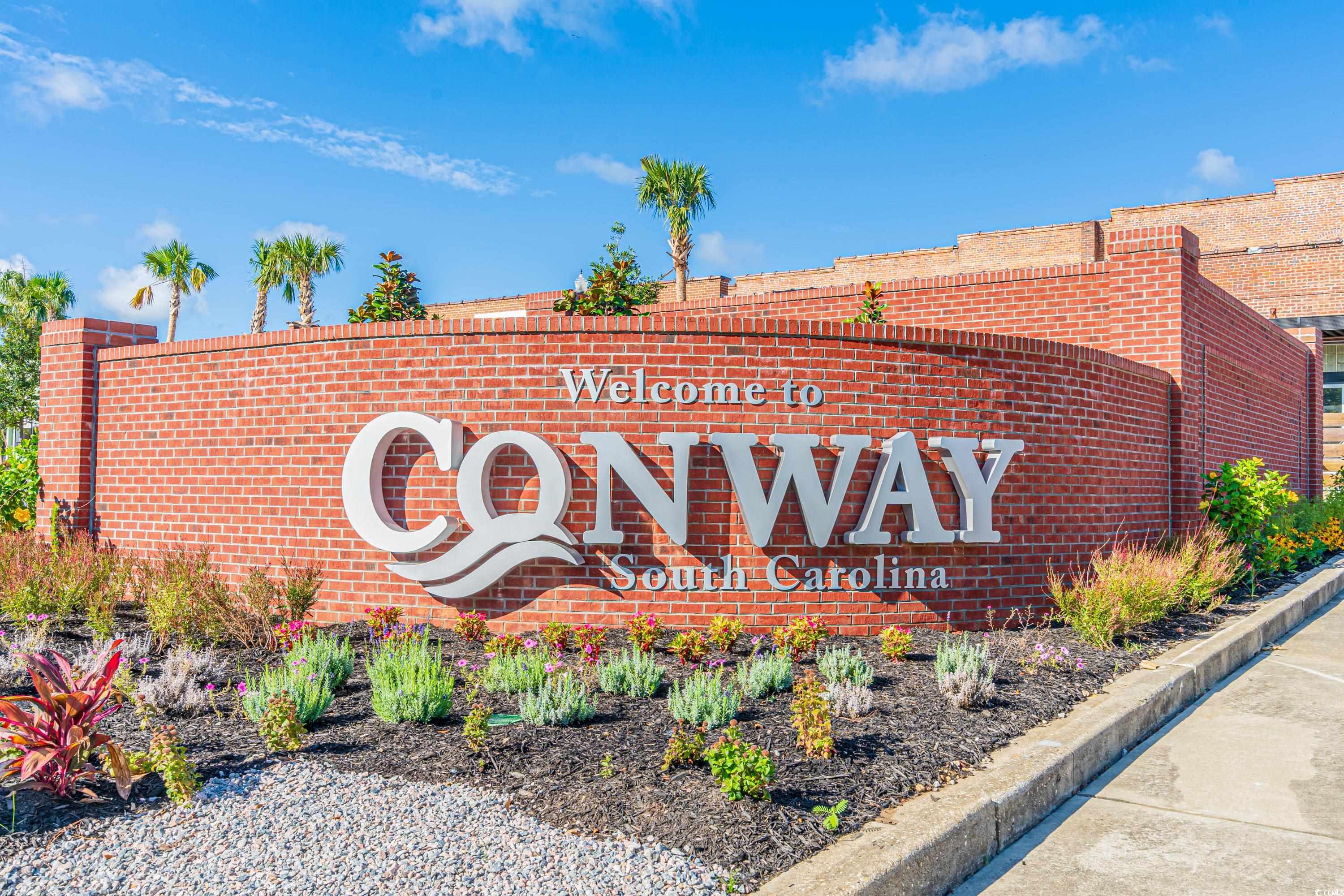 TBD Lot #1 Satellite Circle, Conway, South Carolina image 14