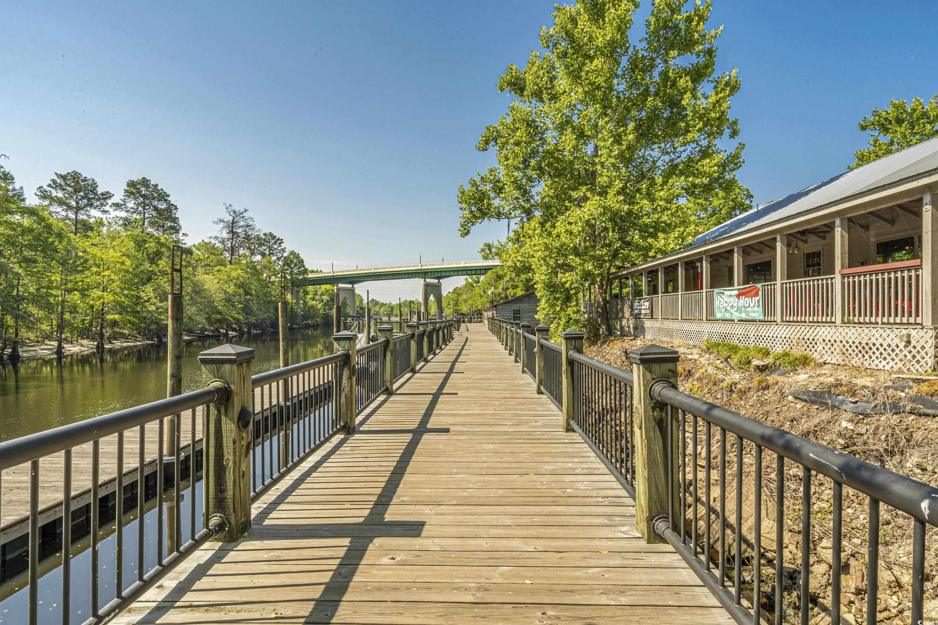 TBD Lot #1 Satellite Circle, Conway, South Carolina image 19