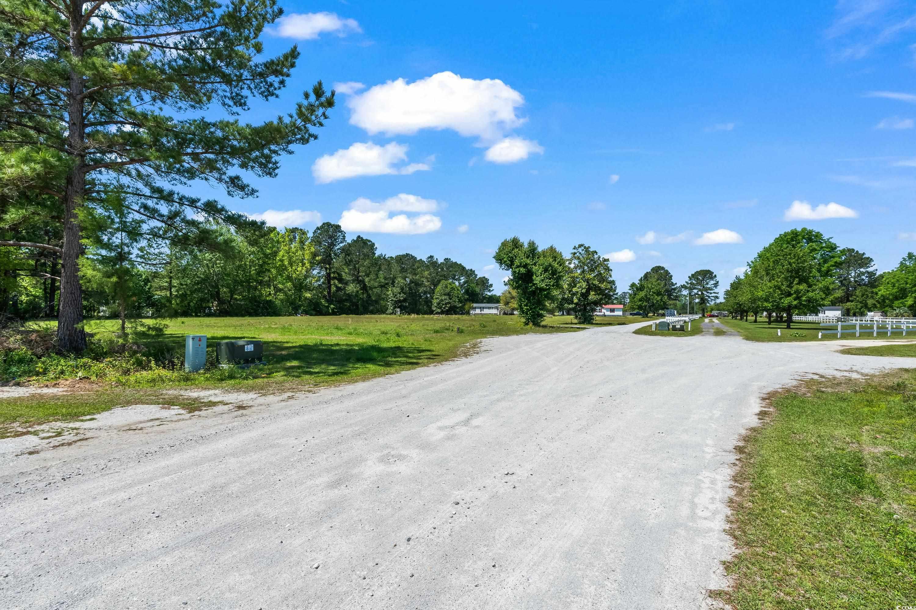 TBD Lot #1 Satellite Circle, Conway, South Carolina image 3